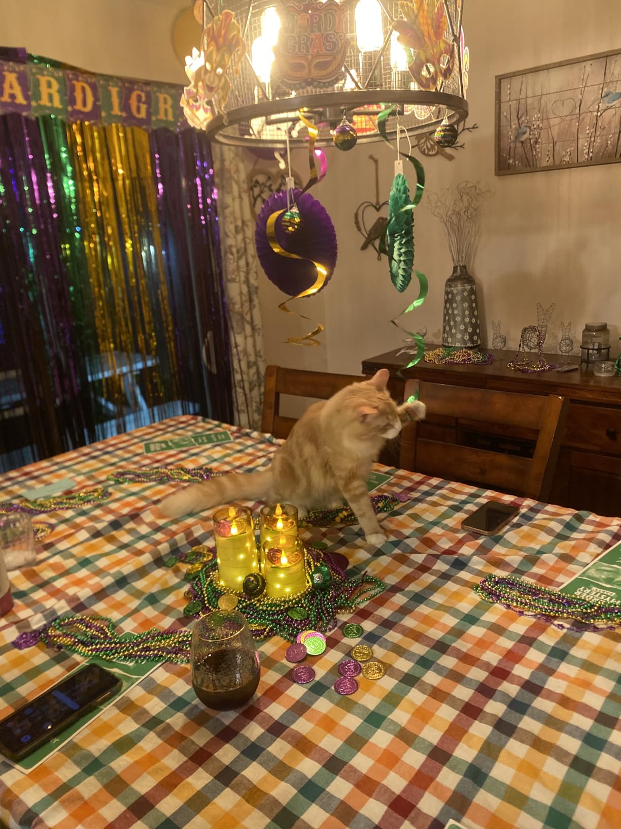 Murder Mystery Party- Murder at Mardi Gras Dinner Party Game for 8 Players, Interactive Mystery Game Kit for Adults, Ages 18+ customer photo 1