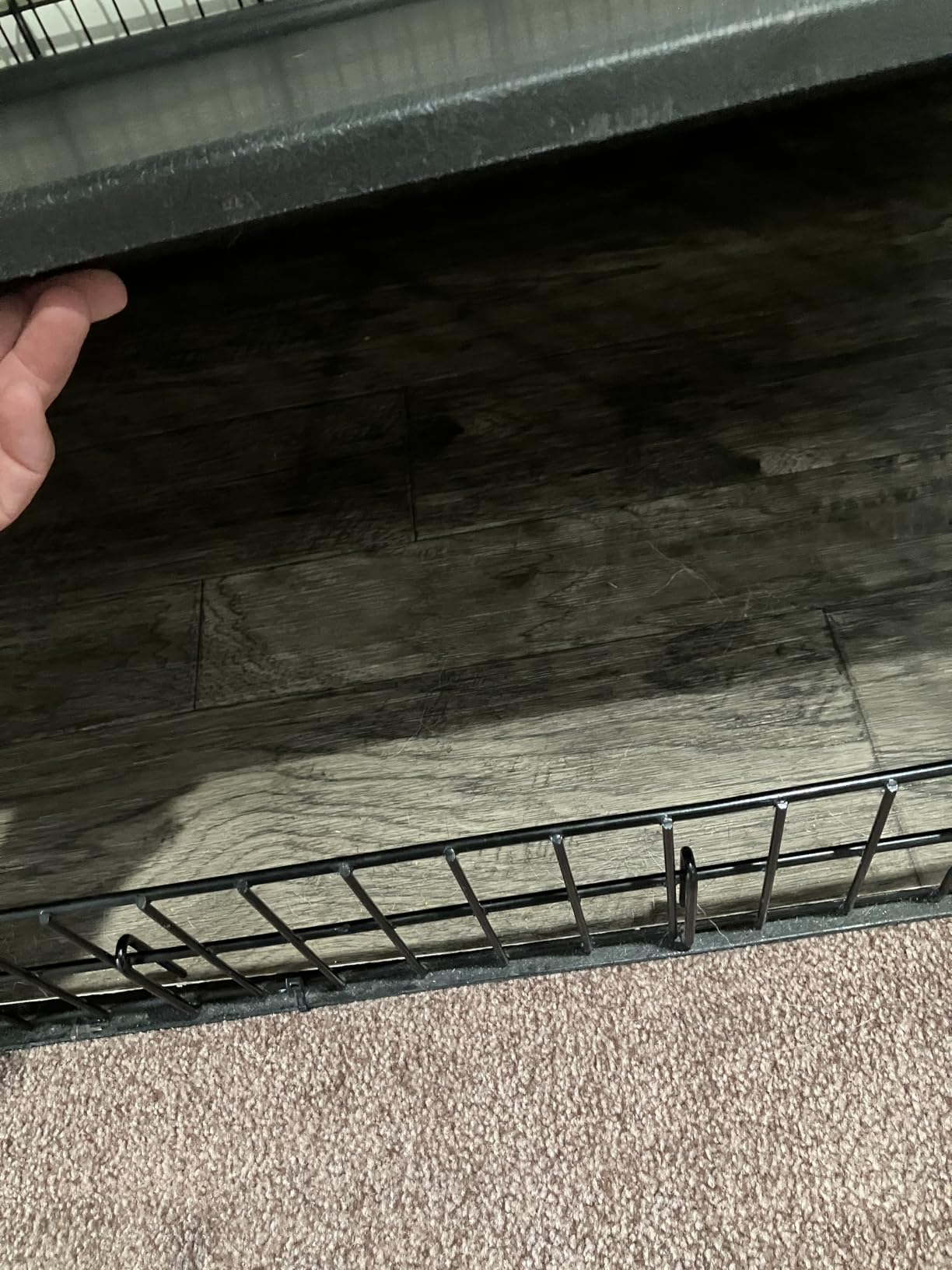MidWest Homes for Pets 36-Inch iCrate for Medium-Large Breeds, 41-70 lbs, Double Door Folding Dog Crate with Divider Panel, Leak-Proof Tray & Secure Latches, Portable, Durable & Easy to Assemble customer photo 1
