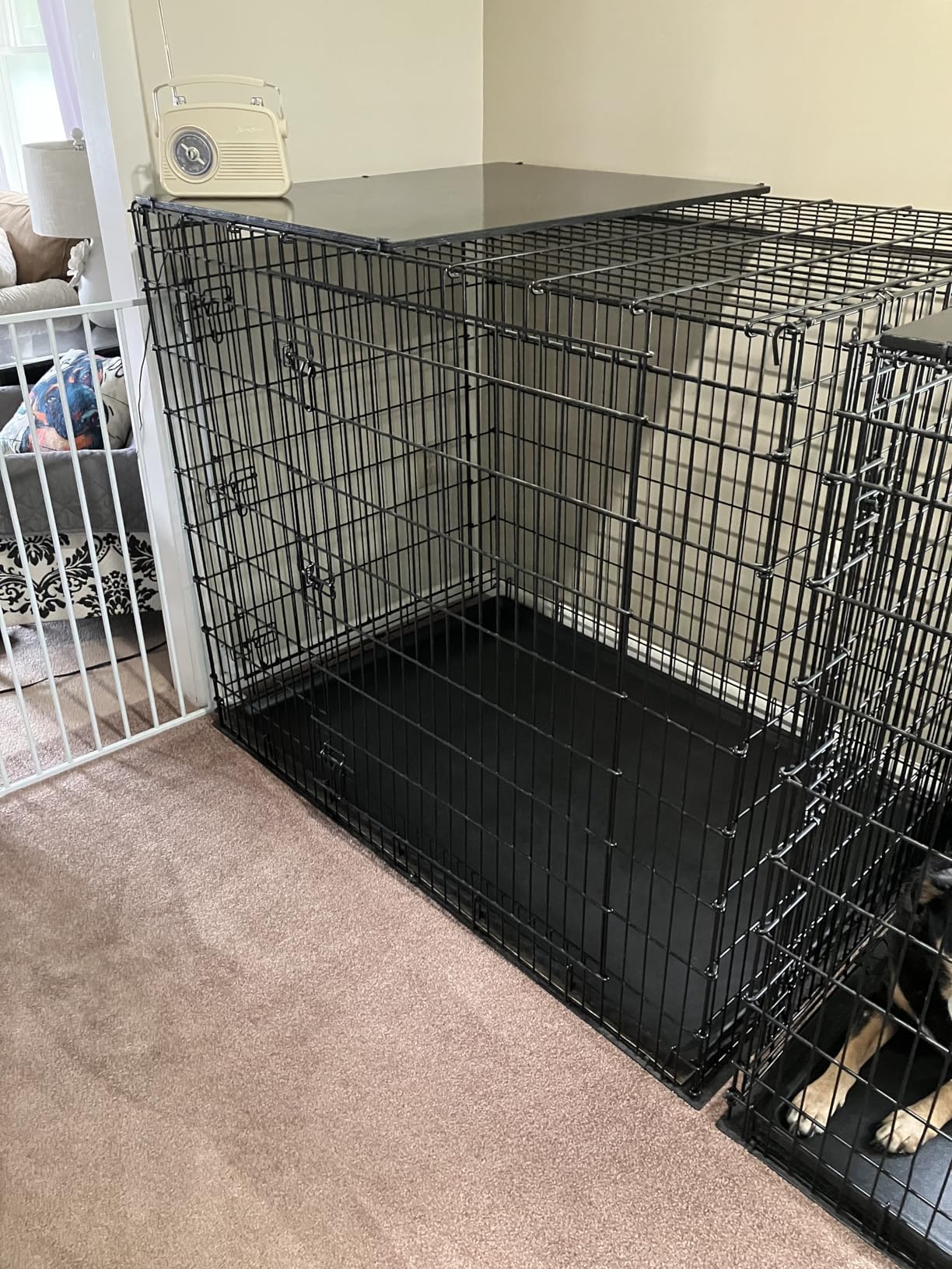 MidWest Homes for Pets 42-Inch iCrate for Large Breeds, 71-90 lbs, Double Door Folding Dog Crate with Divider Panel, Leak-Proof Tray & Secure Latches, Portable, Durable & Easy to Assemble customer photo 2