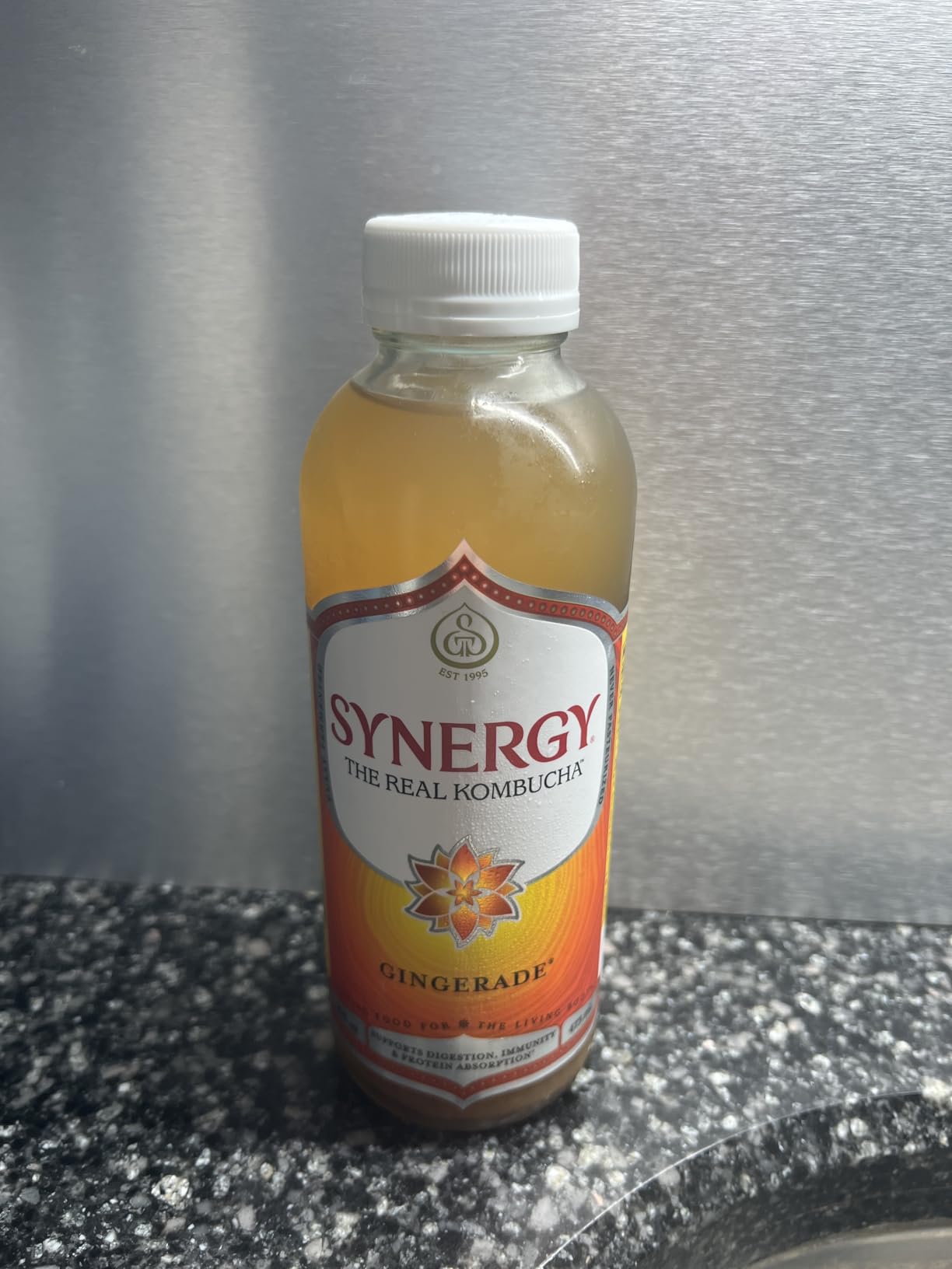 SYNERGY The Real Kombucha - Gingerade - 16 fl oz Bottle - Raw Probiotic Drink for Gut Health and Immune Support customer photo 1