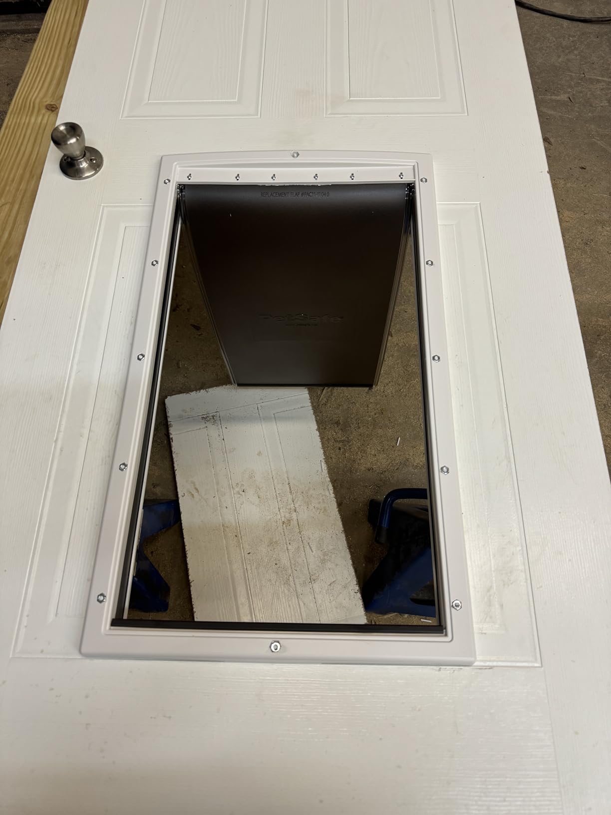 PetSafe Plastic Pet Door - Easy Install for Wood, PVC Metal & Paneled Doors - Rust-Free Plastic Frame - Flap Dimensions 8 1/4