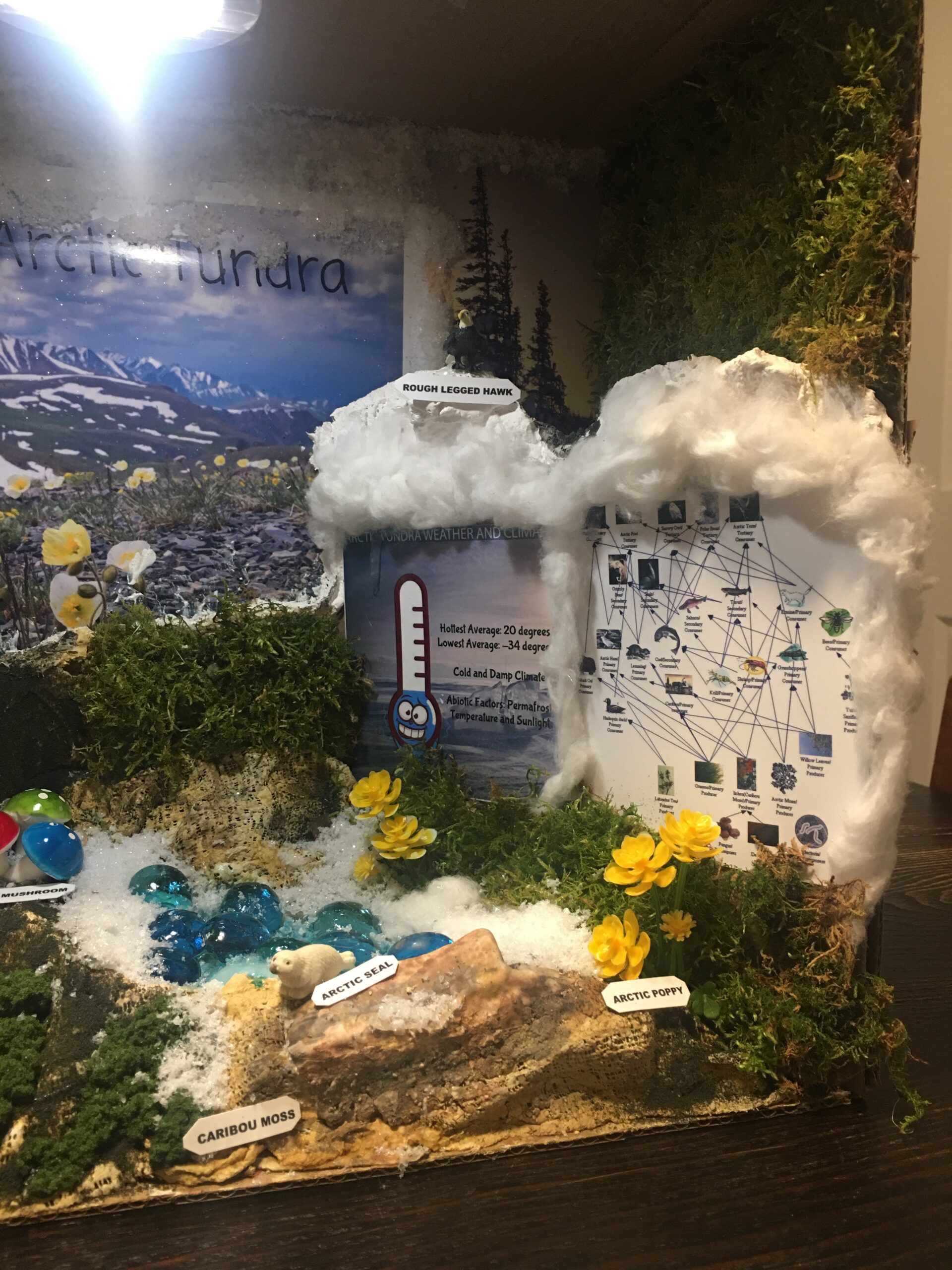 Woodland Scenics Diorama Kit - Mountain customer photo 1