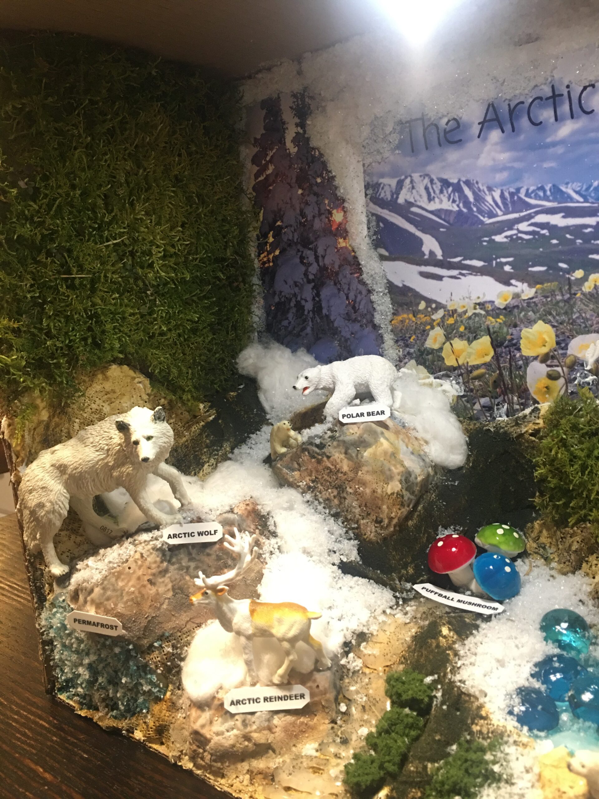 Woodland Scenics Diorama Kit - Mountain customer photo 2