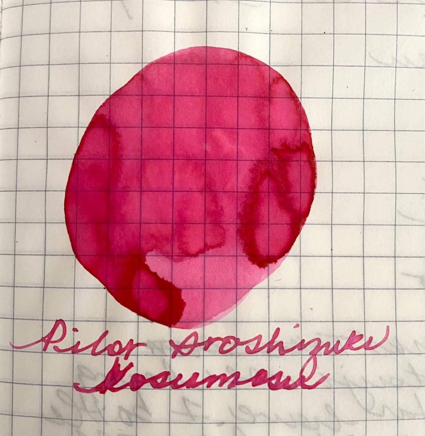 Pilot Iroshizuku Fountain Pen Ink - 50 ml Bottle - Kon-peki Deep Azure Blue (Japan Import) customer photo 2