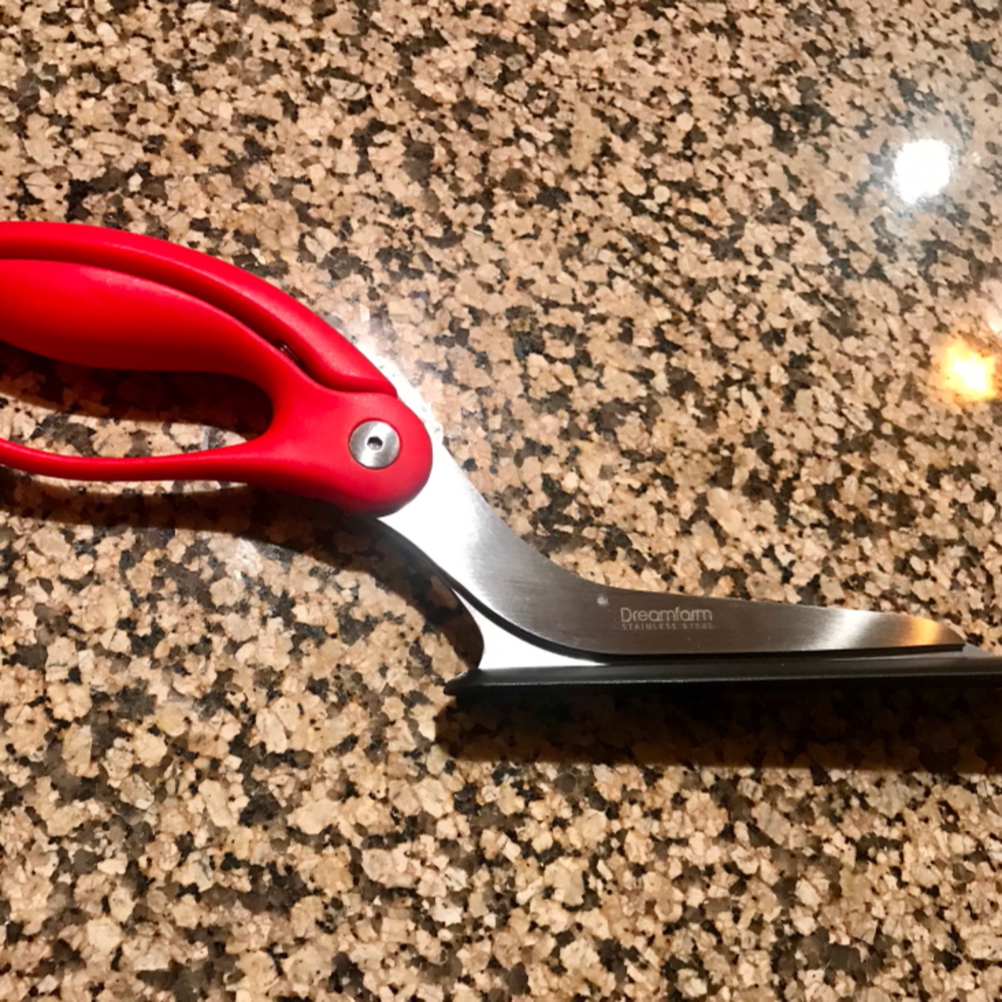 Dreamfarm Scizza 2-In-1 Easy Ergonomic Pizza Scissors with Stainless Steel Pizza Cutter Blades & Non-Stick Slice Server - Red customer photo 2