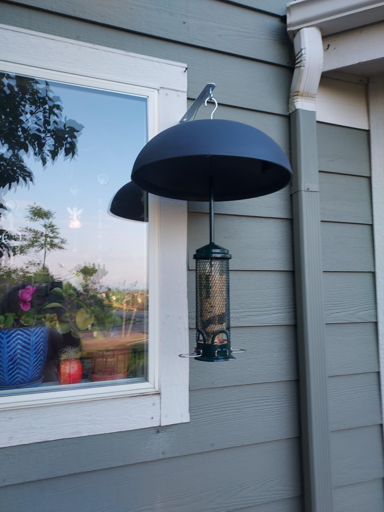 Squirrel Buster Mini Squirrel-Proof Bird Feeder for Wild Birds - 4 Metal Perches, 1 lb Seed Capacity, Chew-Proof Design, Lifetime Care, Garden Green customer photo 2