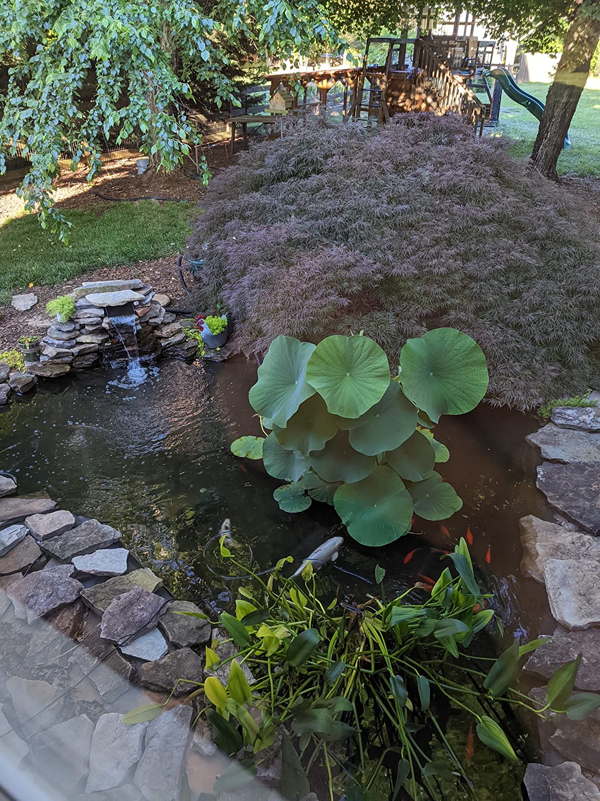 TetraPond Bio-Active Pressure Filter, For Ponds Up to 4000 Gallons customer photo 1
