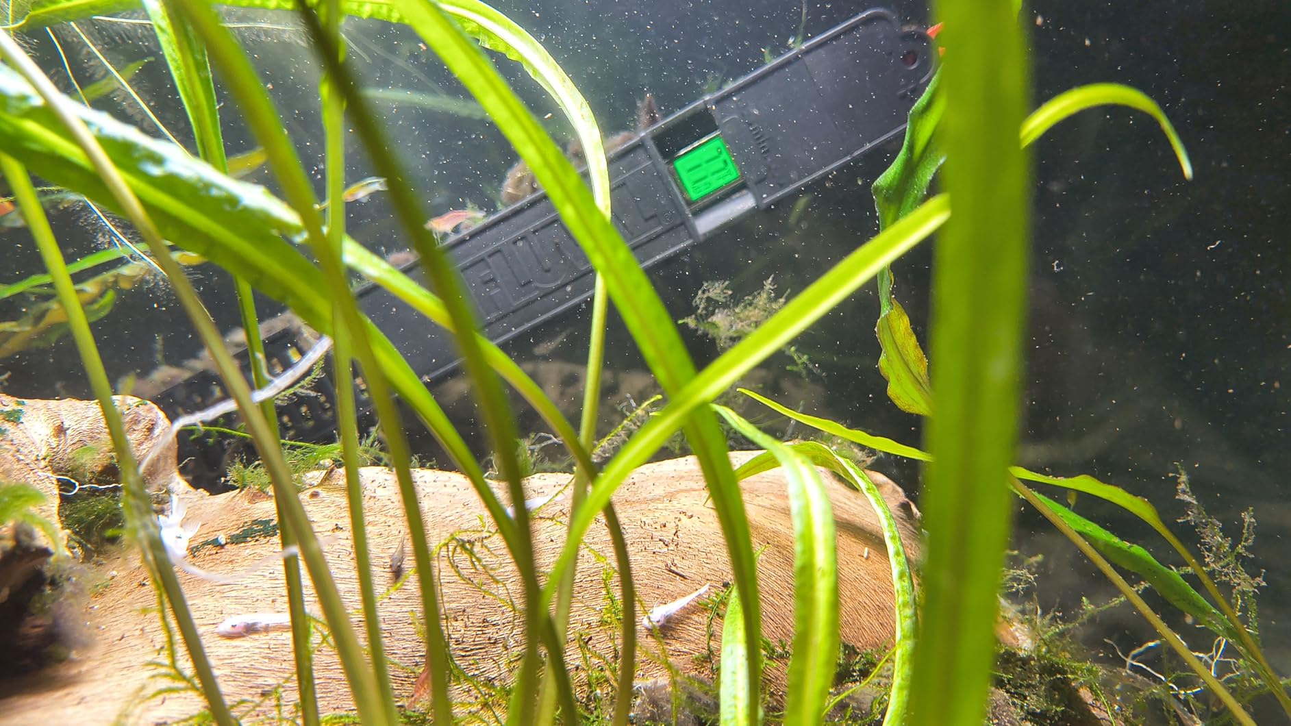 Fluval E 300 Watt Electronic Heater customer photo 1