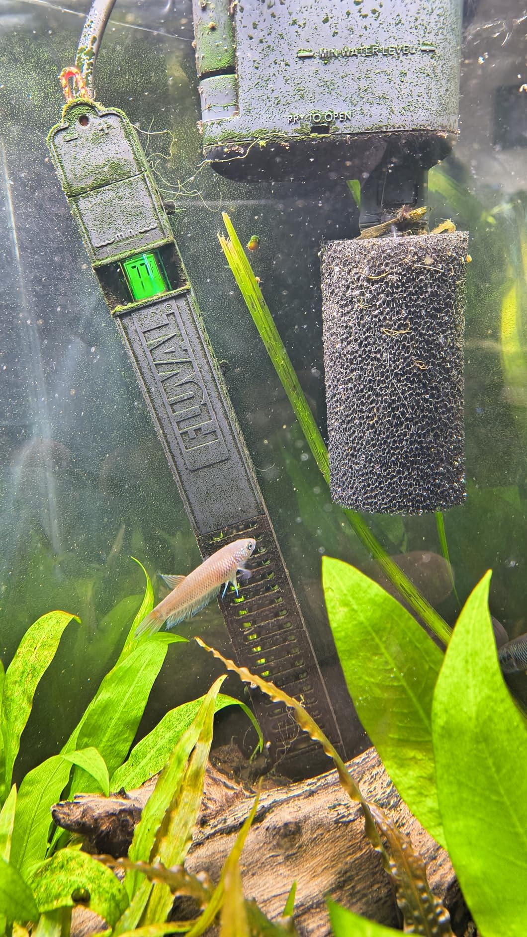 Fluval E 300 Watt Electronic Heater customer photo 2