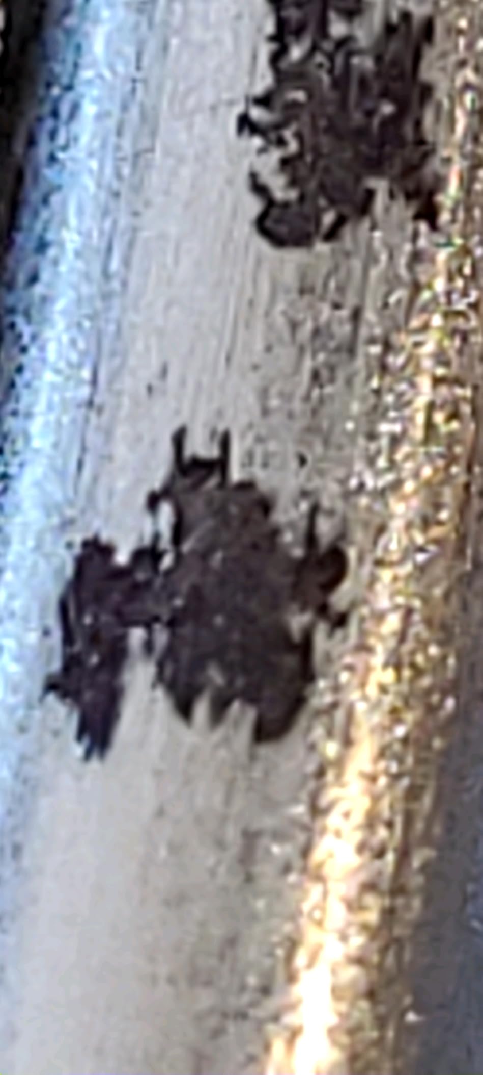 Chef Craft Select Splatter Screen 10 inches in diameter, Stainless Steel customer photo 1