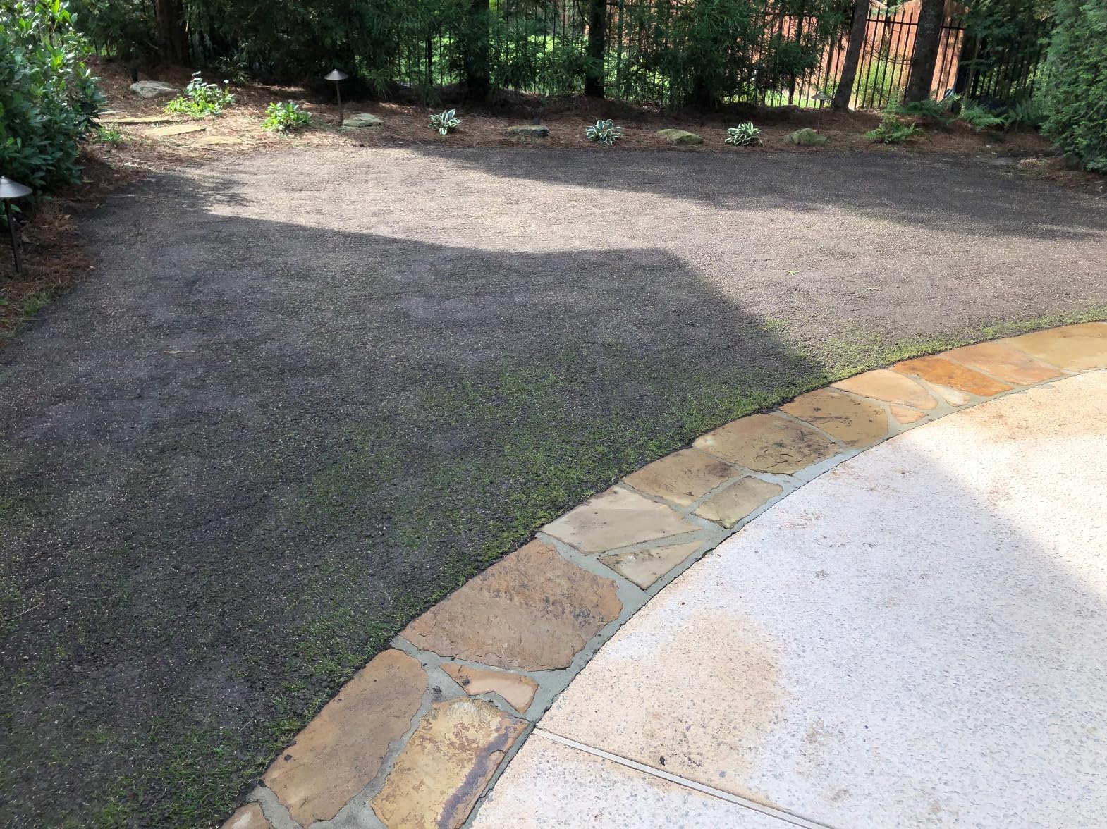 Jonathan Green (10622) Black Beauty Dense Shade Grass Seed - Cool Season Lawn Seed (1 lb) customer photo 2