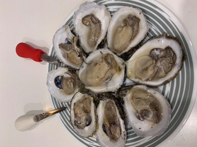 Victorinox Oyster Knife 2-3/4-Inch Hooked Tip New Haven Style Blade, Red SuperGrip Handle customer photo 1