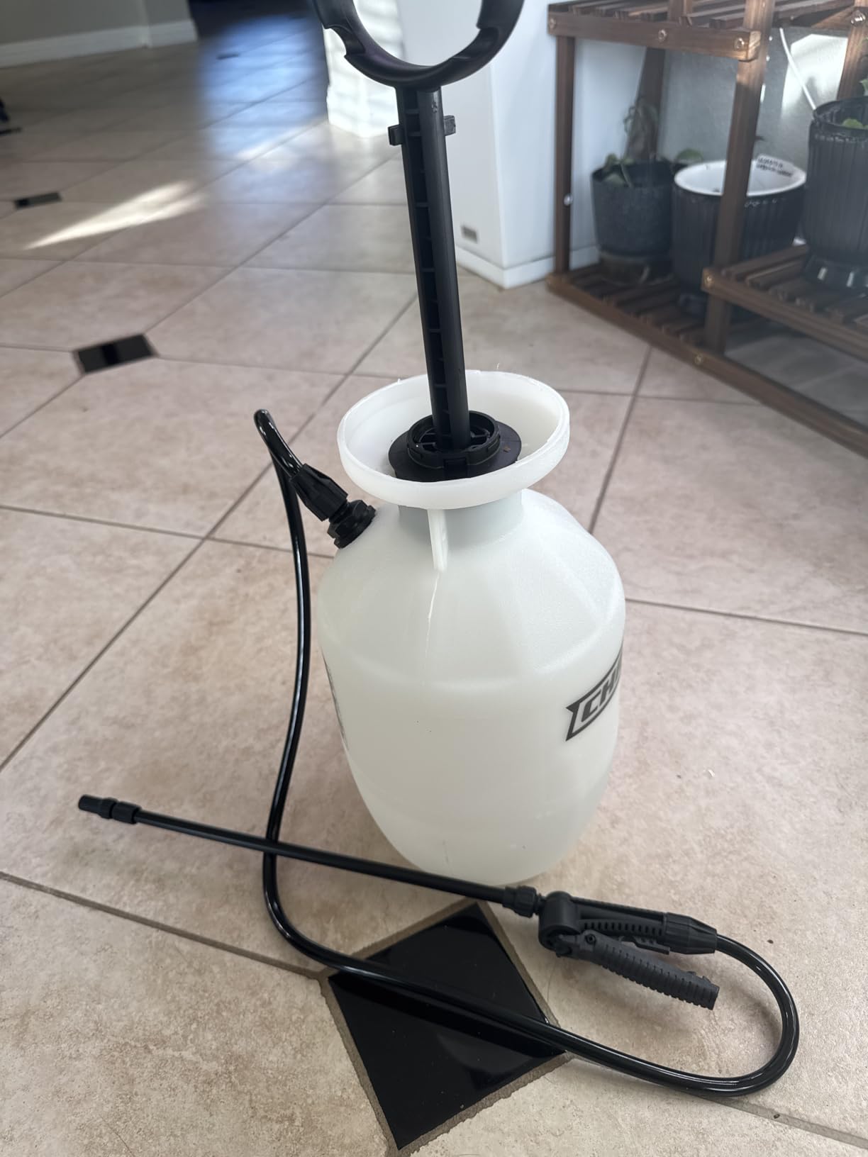 Chapin 20006 Pump Sprayer, 3-Gallon, Lawn & Garden, Translucent Poly Tank, Funnel-Top, SureSpray Anti-Clog Filter, Adjustable Cone Nozzle & 34