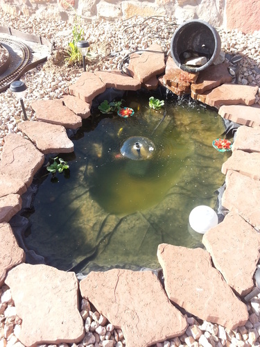 Koolatron 270 Gallon Pond Kit with Lighting customer photo 2