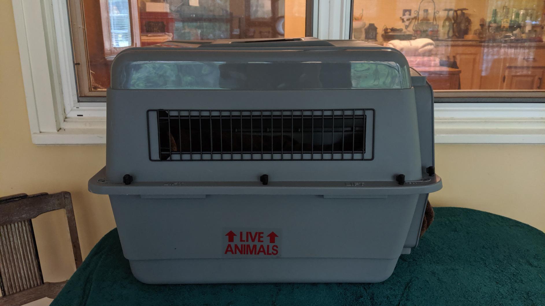 Petmate Sky Kennel For Air and Travel Airline Compliant Dog Crate for Smaller Dog Breeds or Pets up to 15 lbs, Heavy Duty Dog Kennel, Made in the USA- 21