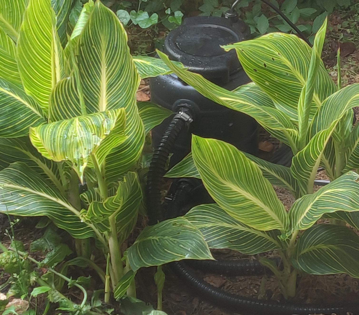TotalPond Complete Pond Filter with UV Clarifier customer photo 1