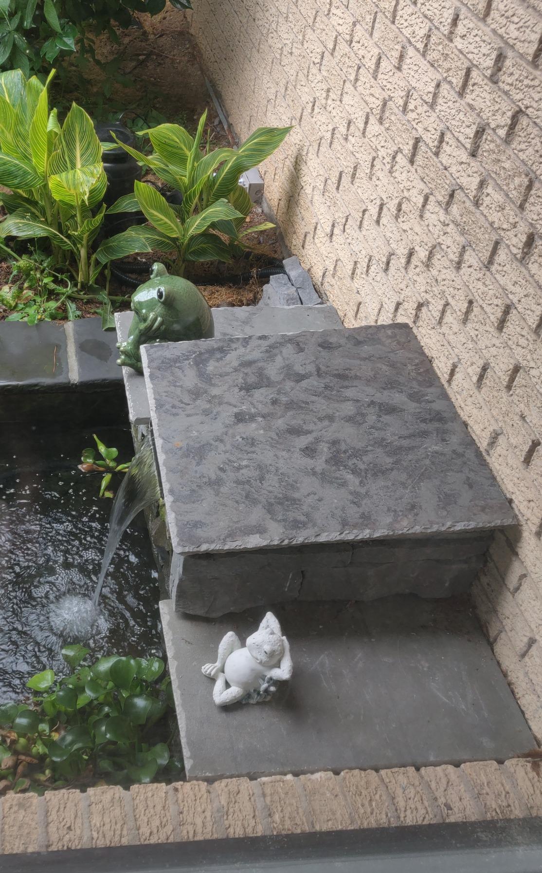 TotalPond Complete Pond Filter with UV Clarifier customer photo 2