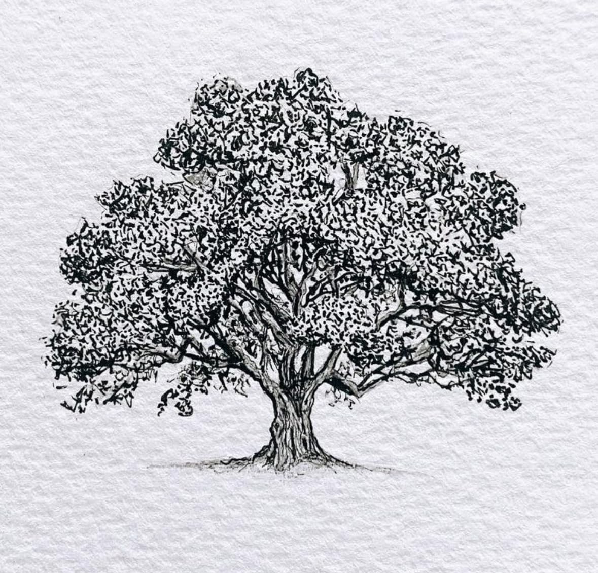 Sakura Pigma Micron, Graphic & Brush Fineline Pens, Archival Black Ink, 8 PK 30067 customer photo 1