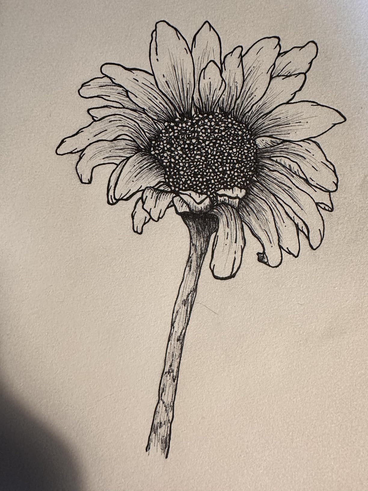 Sakura Pigma Micron, Graphic & Brush Fineline Pens, Archival Black Ink, 8 PK 30067 customer photo 2