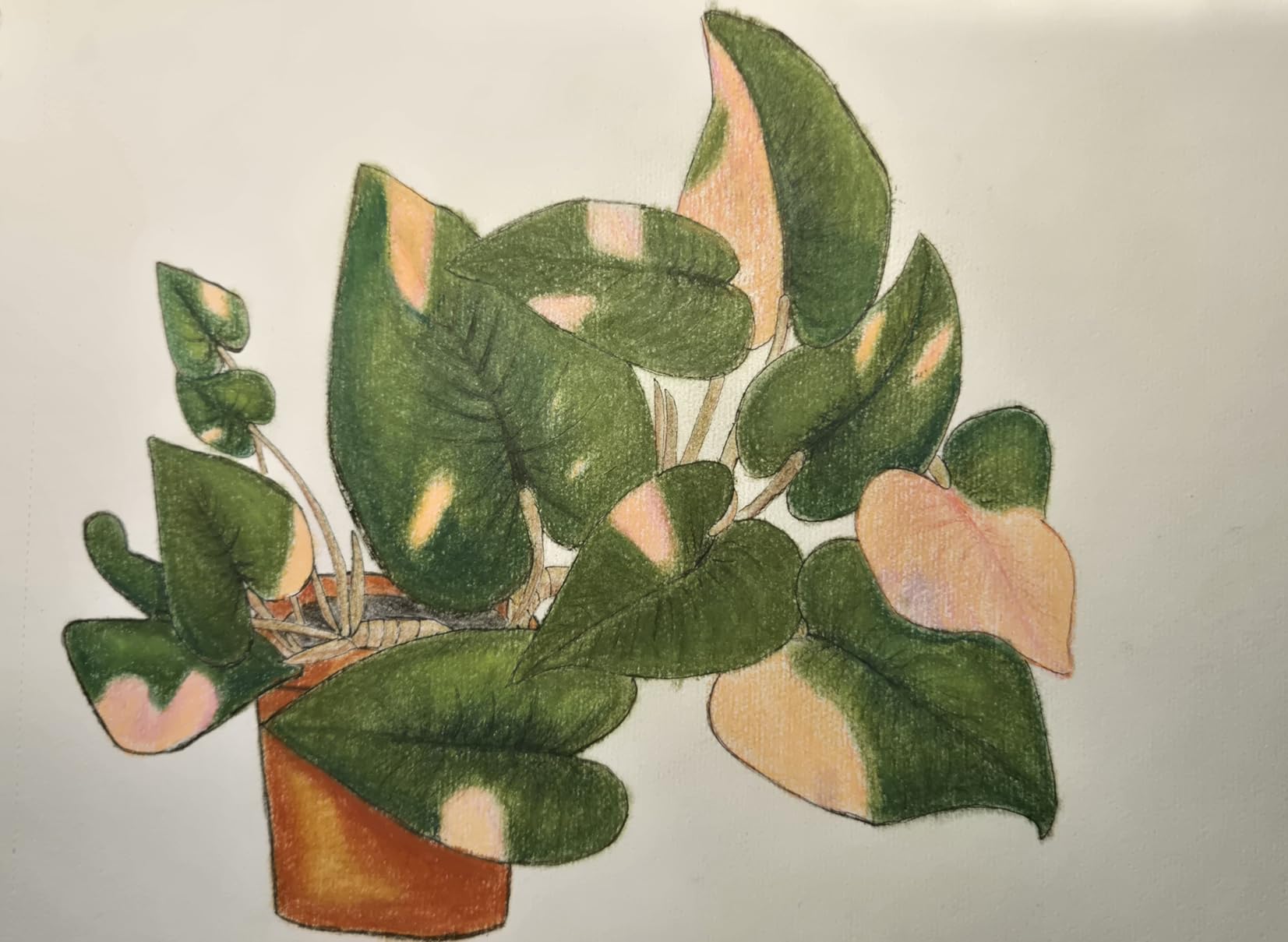 MUNGYO Gallery Artists' Soft Oil Pastels Professional, 48 Assorted Colors, Vibrant and Blendable customer photo 1