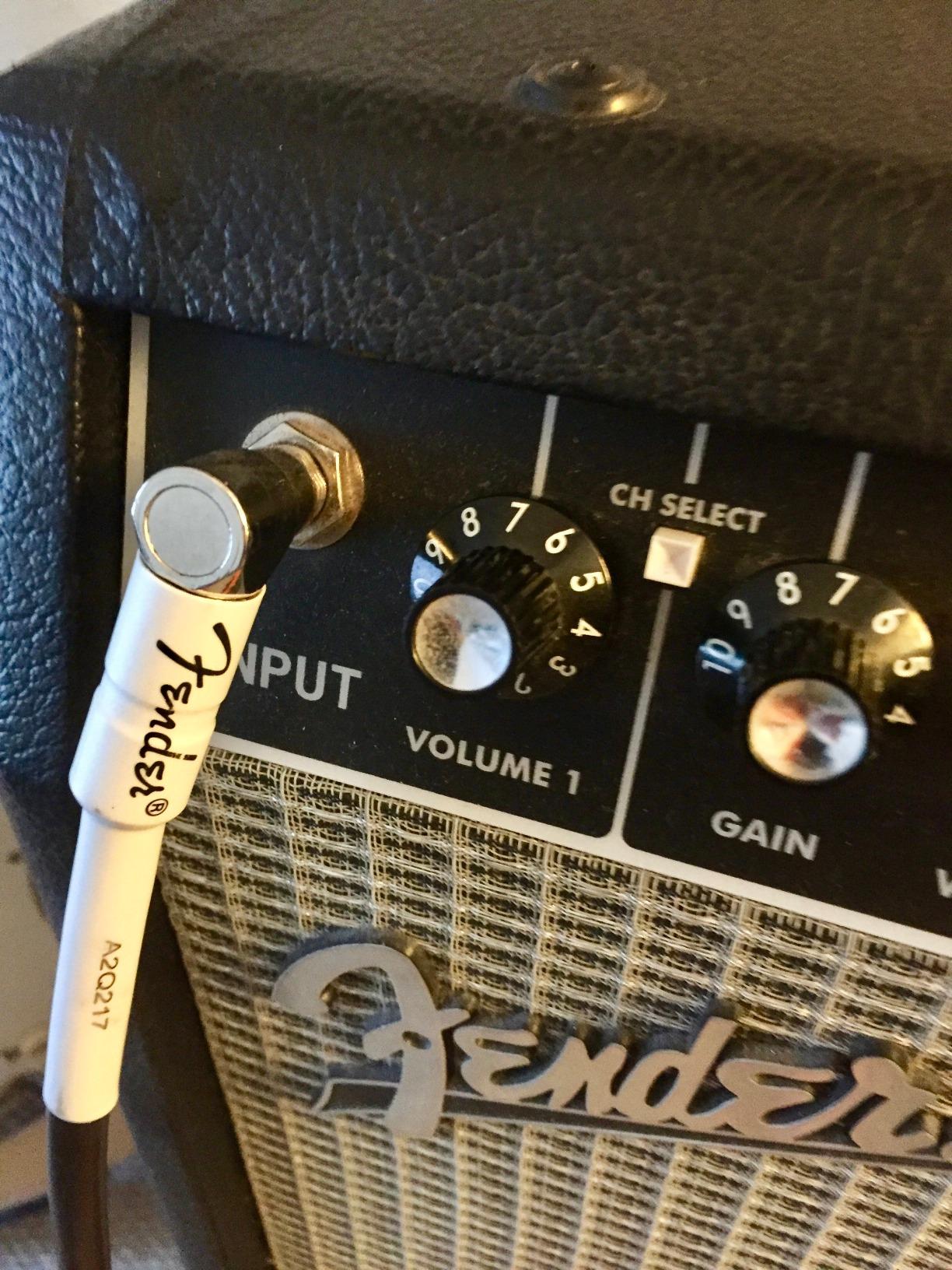 Fender Performance Series Instrument Cables (Straight-Straight Angle) customer photo 2