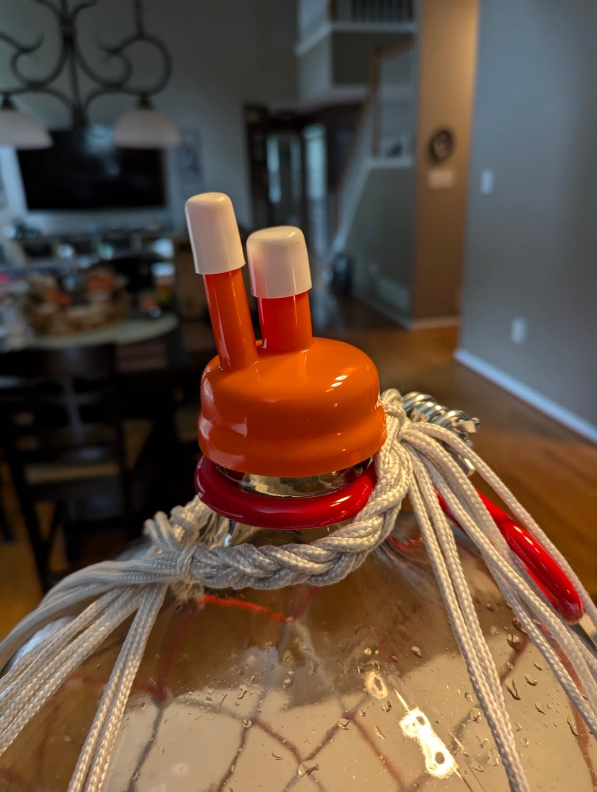 Carboy Cap- 3, 5 & 6 Gallon Carboys customer photo 1