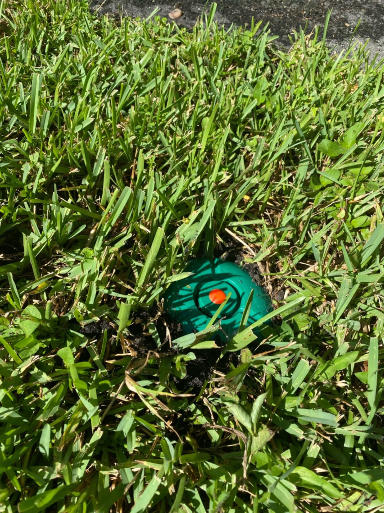 Spectracide Terminate Termite Detection & Killing Stakes, Kills Foraging Termites, Detects Termite Activity, 15 Count customer photo 2