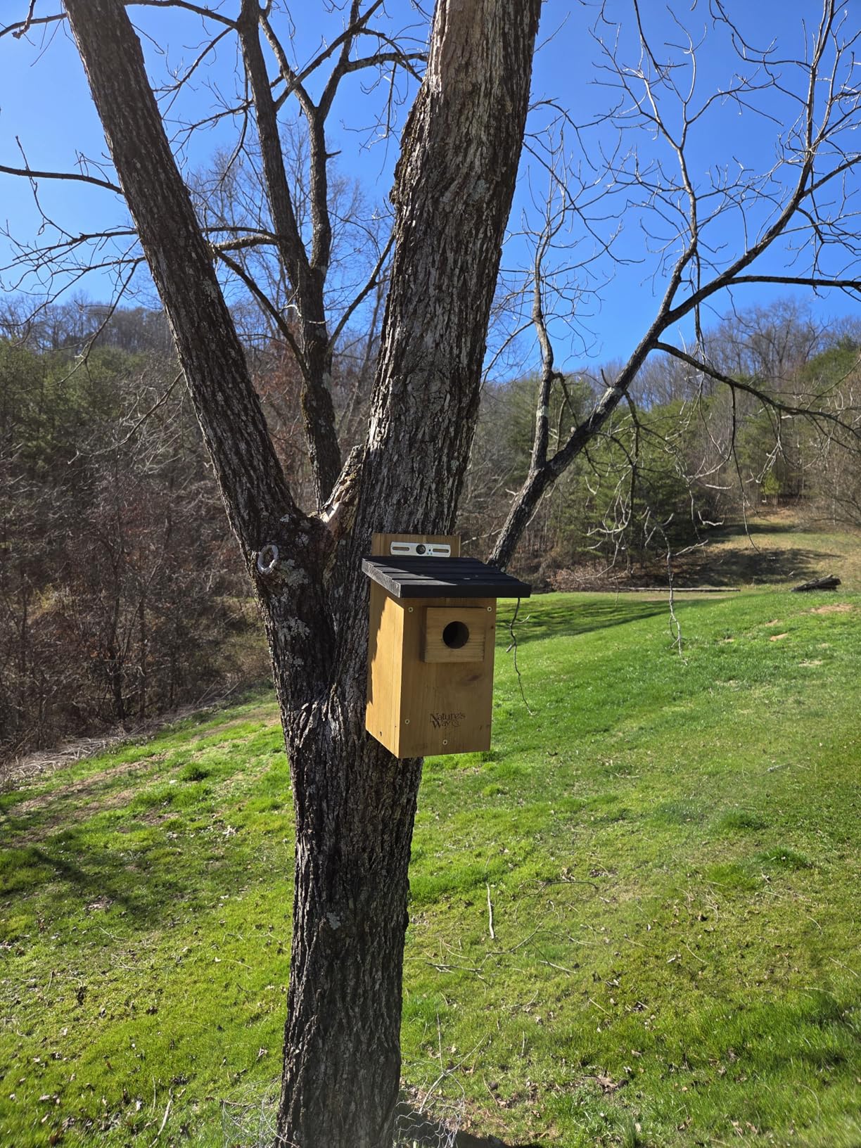 Nature's Way Bird Products CWH4 Cedar Bluebird Viewing House customer photo 2