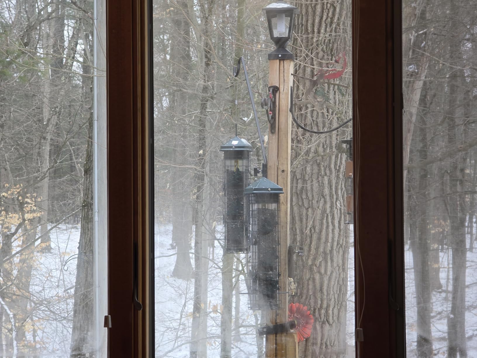 Squirrel Solution200 Squirrel-proof Bird Feeder w/6 Feeding Ports, 3.4-pound Seed Capacity, Free Seed Funnel customer photo 1