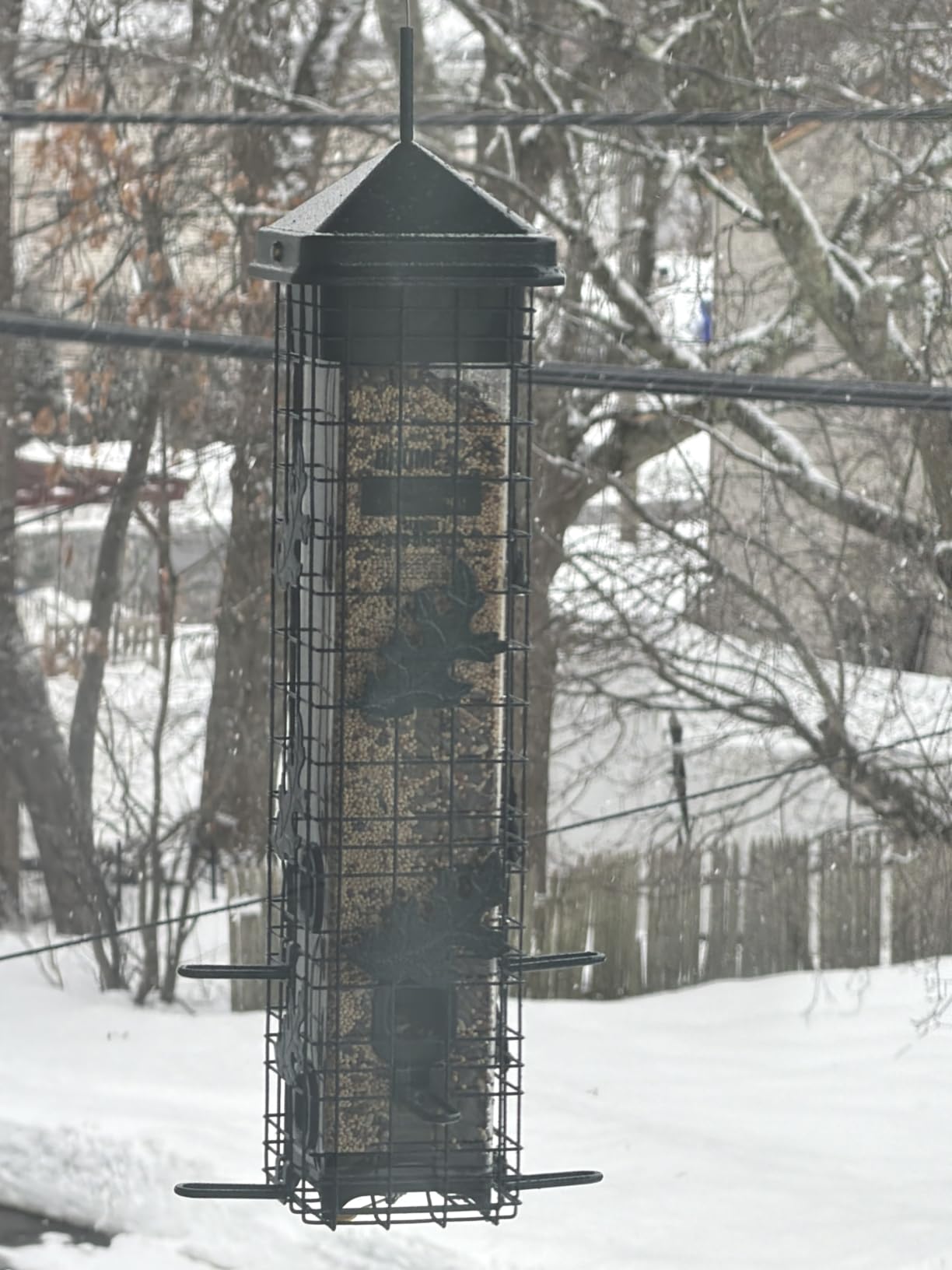 Squirrel Solution200 Squirrel-proof Bird Feeder w/6 Feeding Ports, 3.4-pound Seed Capacity, Free Seed Funnel customer photo 2