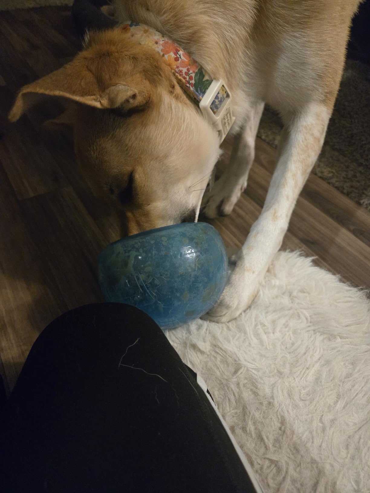 Outward Hound by Planet Dog Snoop Dog Toy - Treat‑Dispenser Puzzle Ball, Interactive Slow Feeder, Medium to Large Dogs, Bouncy & Mint-Infused, Orange, 5