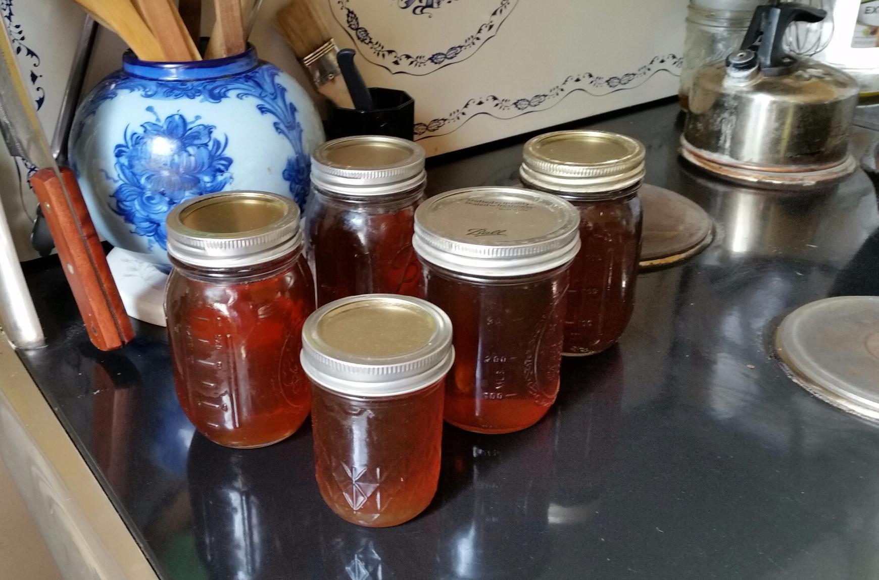 MAPLE TAPPER Maple Syrup Tree Tapping Kit - (10) Spiles + (10) 3' Tubes + (1) 1 QT Maple Sap Filter + 80 Page Book 