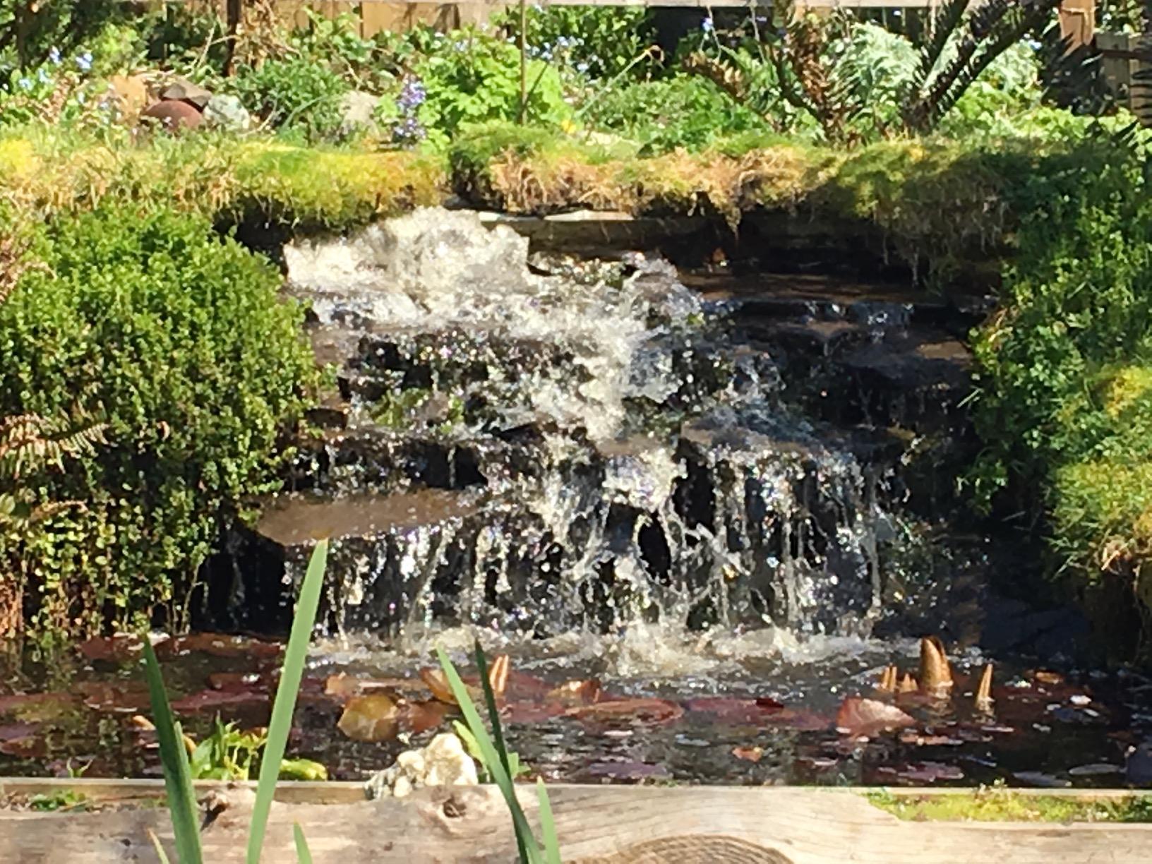 HALF OFF PONDS Pond Pulse 5,500 GPH Submersible Waterfall Pump - Hybrid Drive Pond Pump with 30' Cord - Energy Efficient, Fish Safe, 31' Max Head, for Skimmers & Large Water Features customer photo 2
