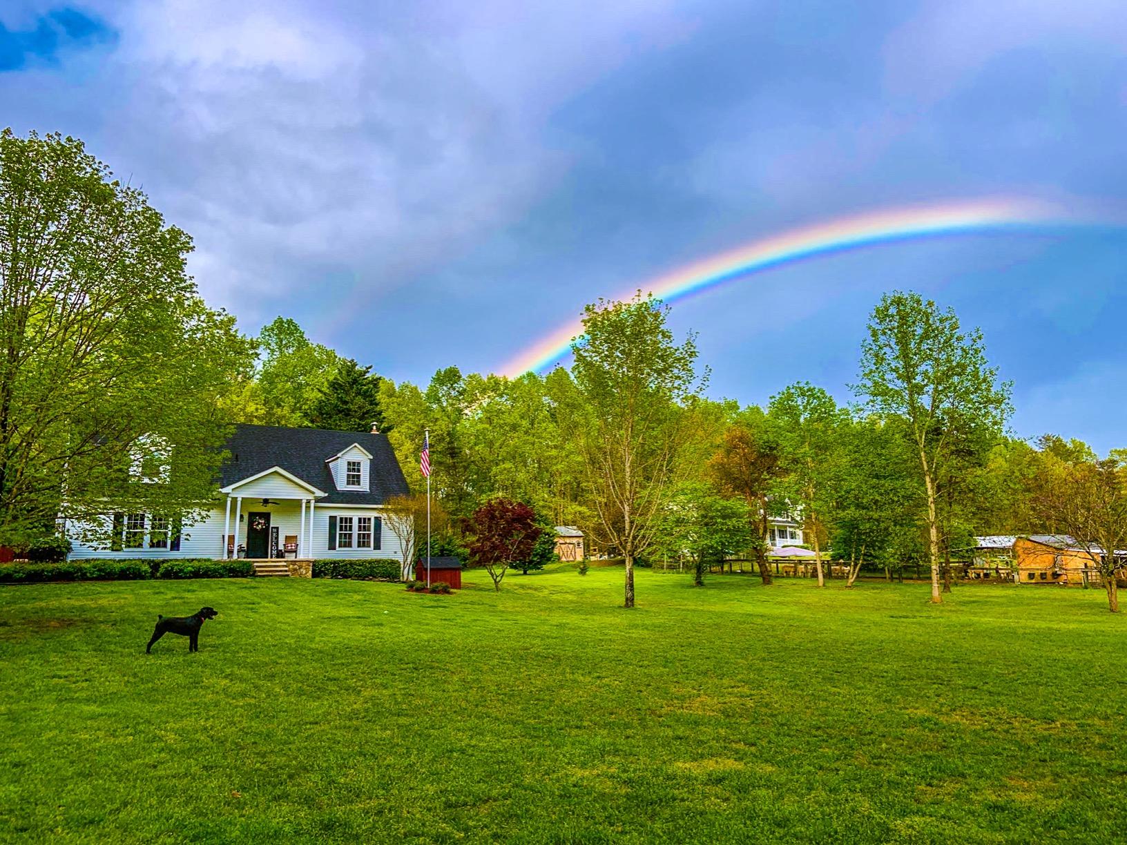 PetSafe Basic In-Ground Fence System - Easy Install Electric Pet Barrier with Visual Cue Boundary Flags, Waterproof Collar & Indoor Transmitter - Long-Lasting Training System customer photo 2
