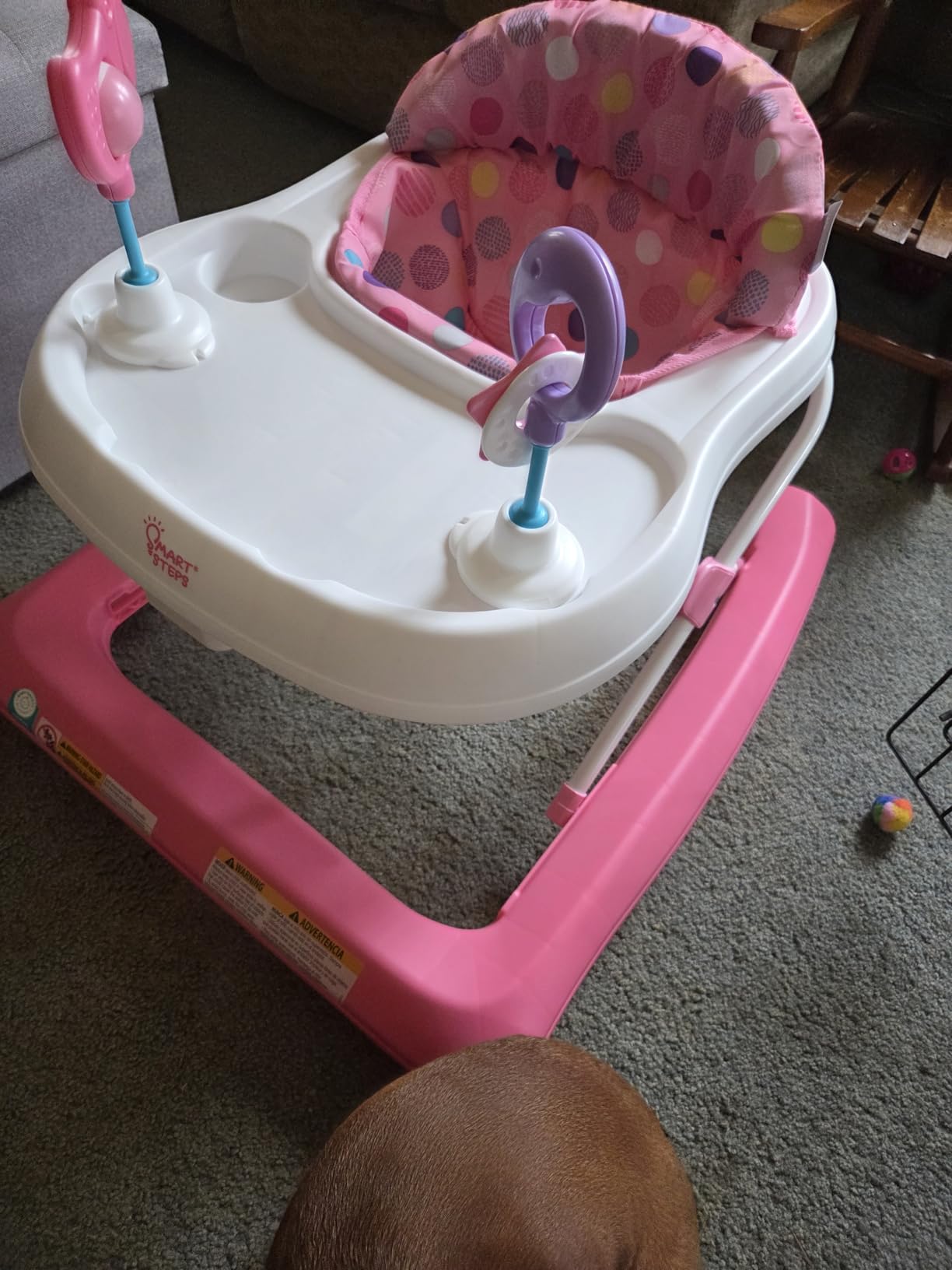 Smart Steps Trend Activity Walker with Removeable Toy Bar, Multi-Directional Front Wheels, Tray, Adjustable Height and Flat Fold Frame for Storage, Ages 6 Months +, Emily Pink customer photo 2