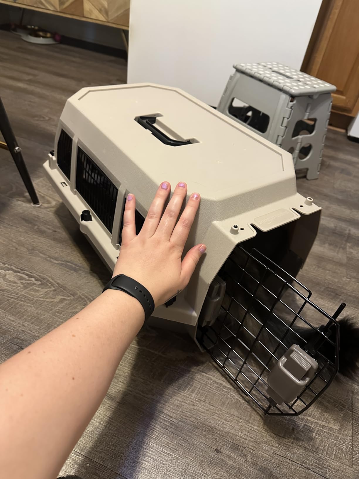 Amazon Basics Sturdy Portable 2-Door Top-Load Hard-Sided Pet Travel Carrier with Secure Ventilation, Handle, Front & Top Entry for Dogs, Cats, 22.8