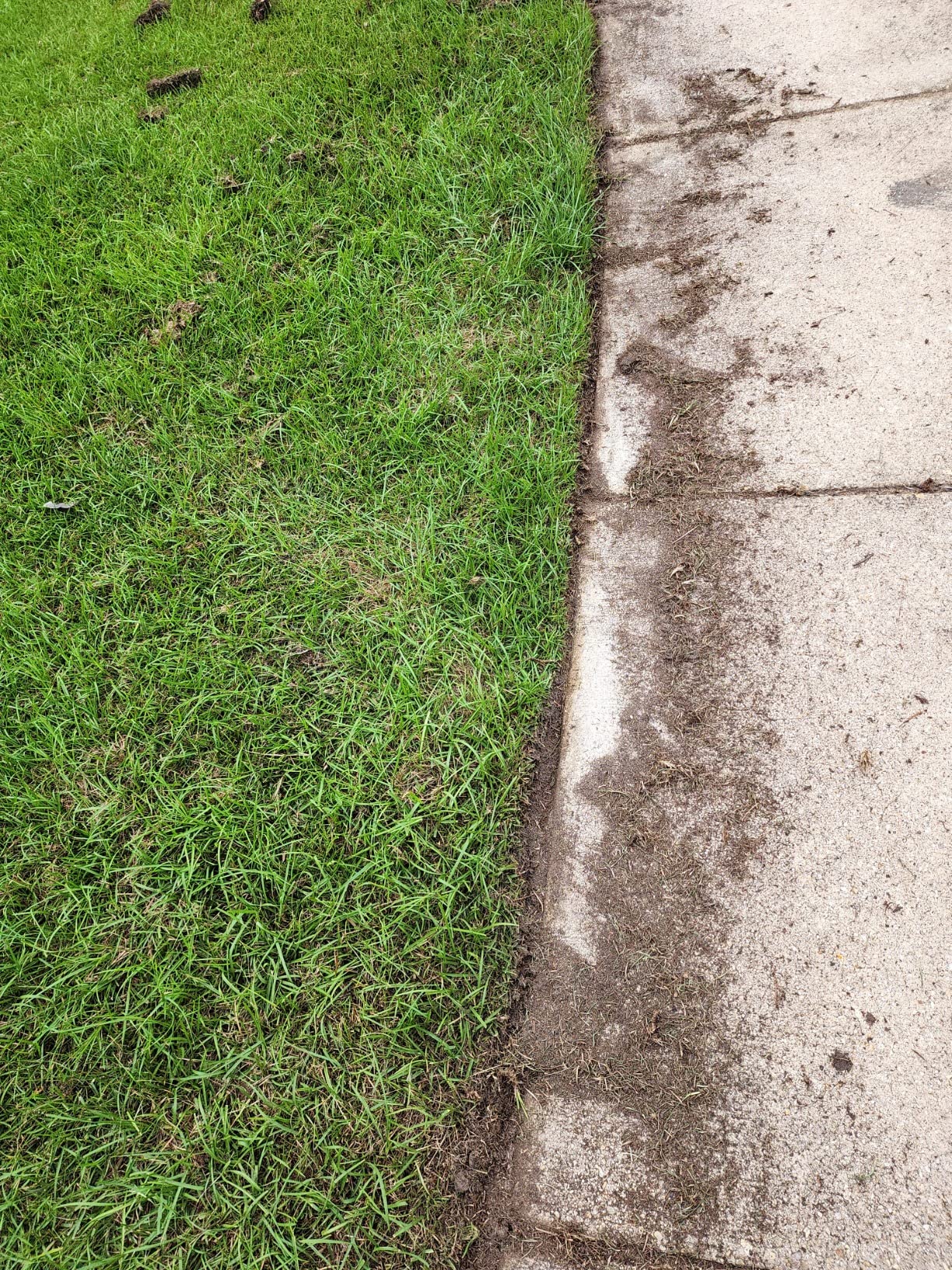 WORX 12 Amp 7.5'' Electric Lawn Edger & Trencher, Corded, WG896 customer photo 2