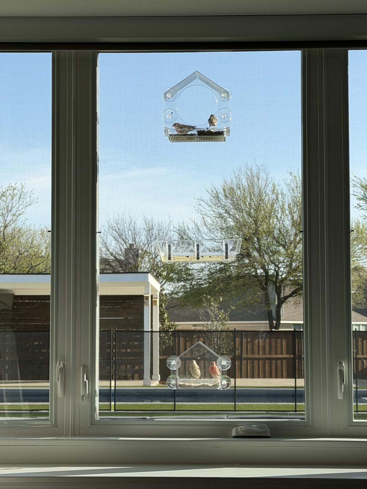 Nature Anywhere Window Bird Feeder - Weather Proof Transparent Acrylic Bird Feeders for Outdoors - Enhanced Suction Grip, Bird Watching for Cats, Easy-to-Clean, Outdoor Birdhouse Feeder (1 Unit) customer photo 2