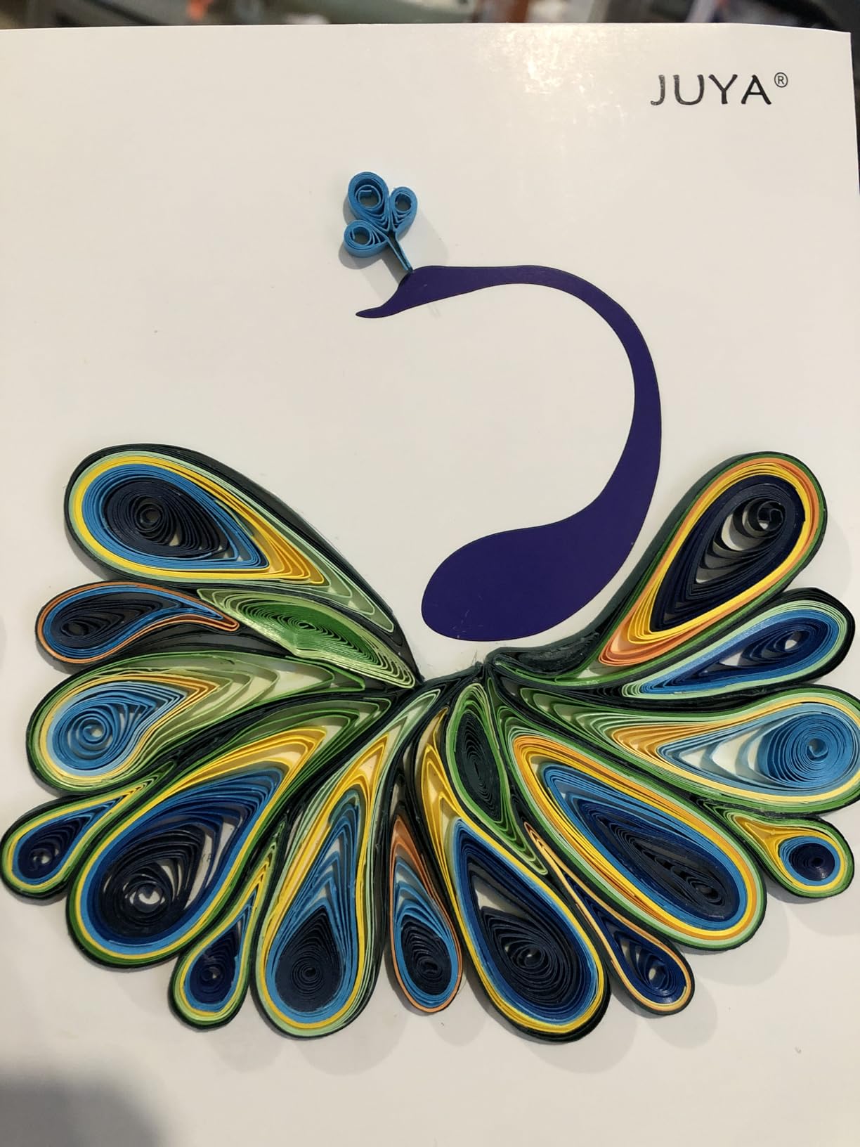 JUYA Paper Quilling Kits with 30 Colors 600 Strips and 8 Tools (Paper Width:3mm, Blue Tools) customer photo 1