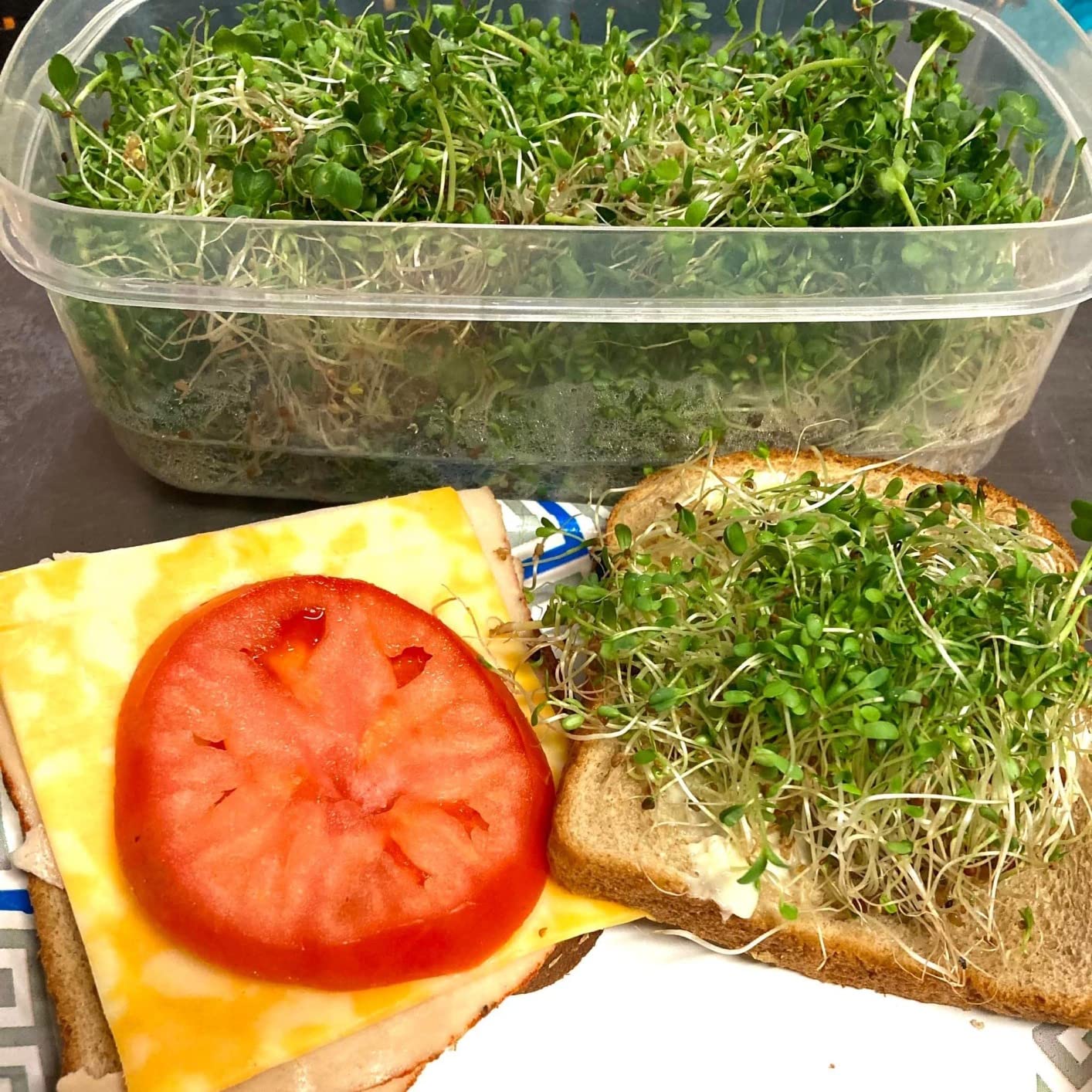GARDENS ALIVE! Seed Sprouter Kit, Two Tier Stackable Seedling Starter Tray with Lid, Microgreens Propagator Mini Plant Grow Trays, Germinate Seeds Indoors, Healthy Snacks, Bean Sprouts, Soil Free customer photo 1