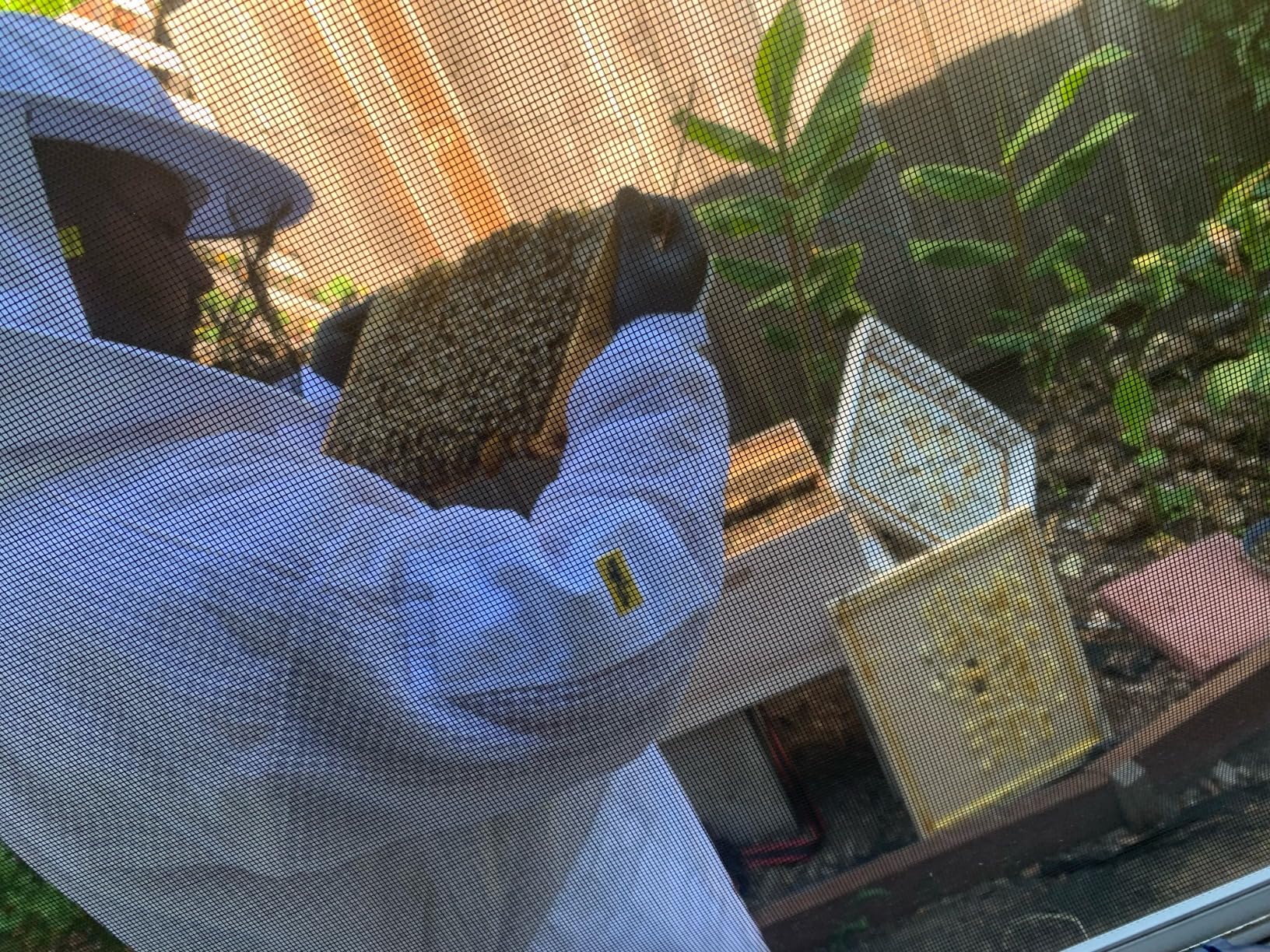 3 Layer Ventilated Bee Suit for Men & Women, Sting Proof Beekeeping Suit with Fencing & Round Veil customer photo 1