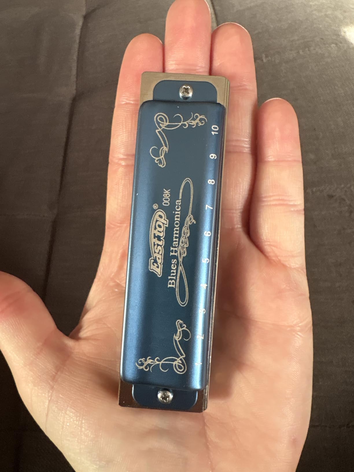 East top Harmonica Key of C, 10 Holes 008K Diatonic Mouth Organ with Blue Case, Standard Harmonica For Adults, Professionals, Beginners and Students, as a Gift customer photo 1