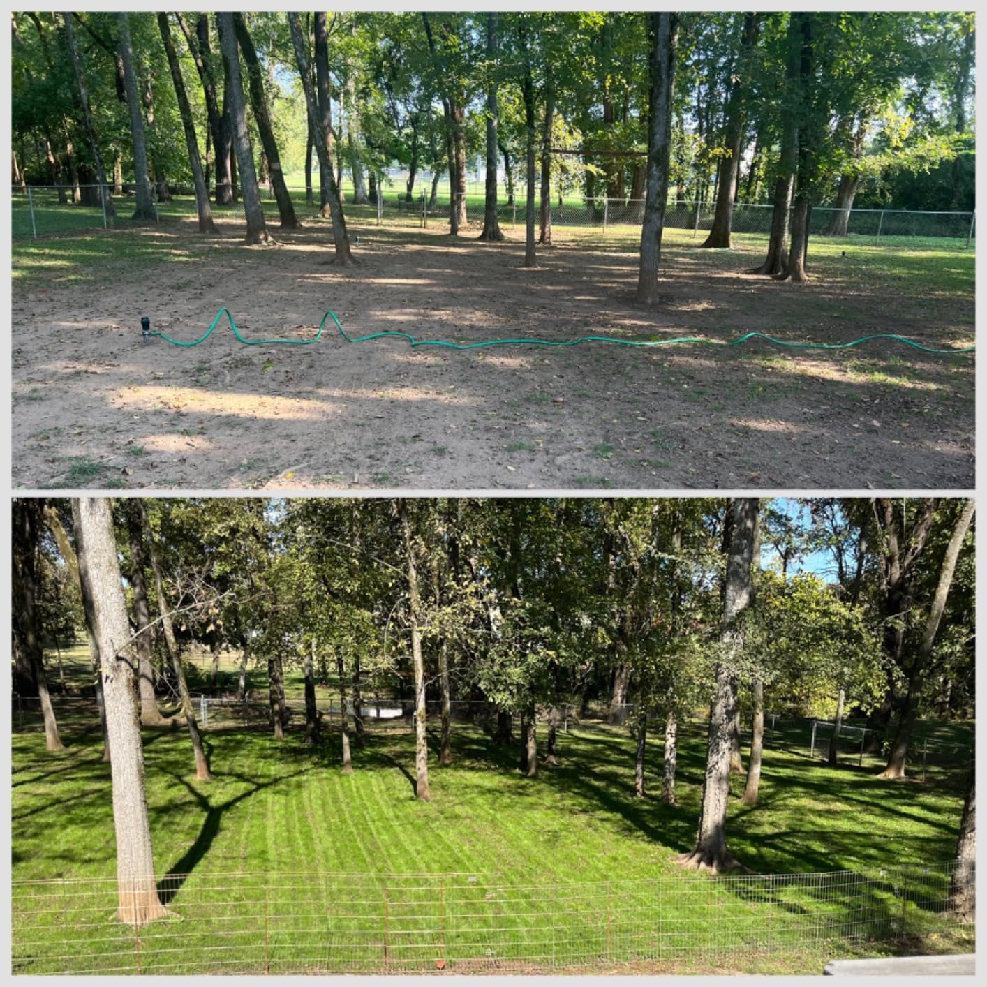 Jonathan Green 40600 Dense Shade Grass Seed, 3 lb customer photo 2