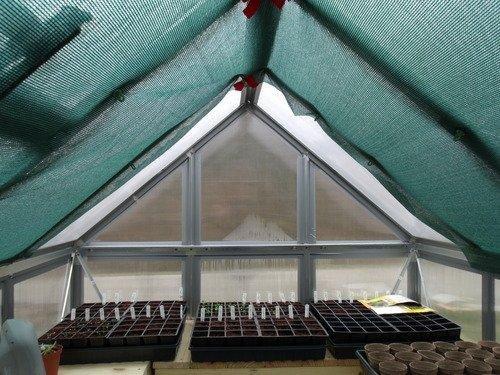 Canopia 6x10 Greenhouse Kit, Hobby Walk-In Twin-Wall UV Polycarbonate Heavy Duty Aluminum Frame, Lockable Door, Adjustable Roof Vent, Rain Gutters, Galvanized Steel Base, Mythos (Silver) customer photo 1