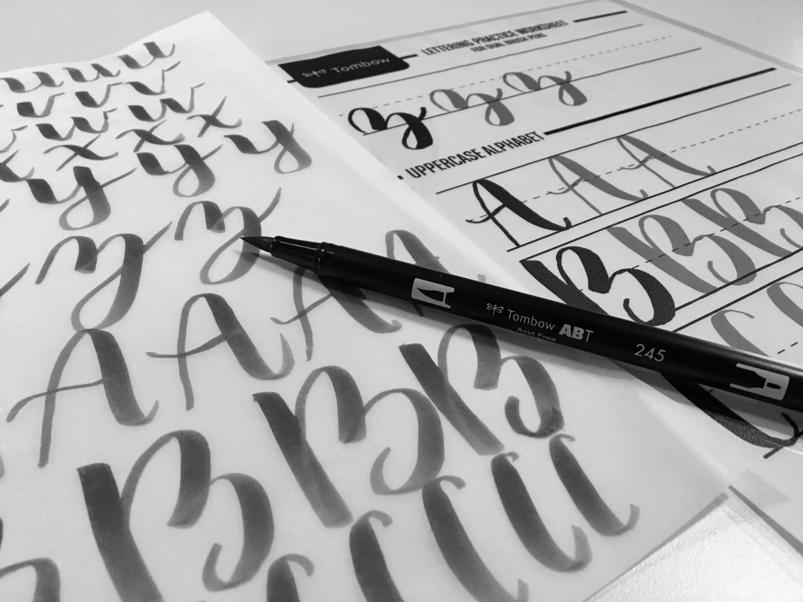 Tombow 56190 Beginner Lettering Set. Includes Essential Tools to Start Hand Lettering customer photo 1