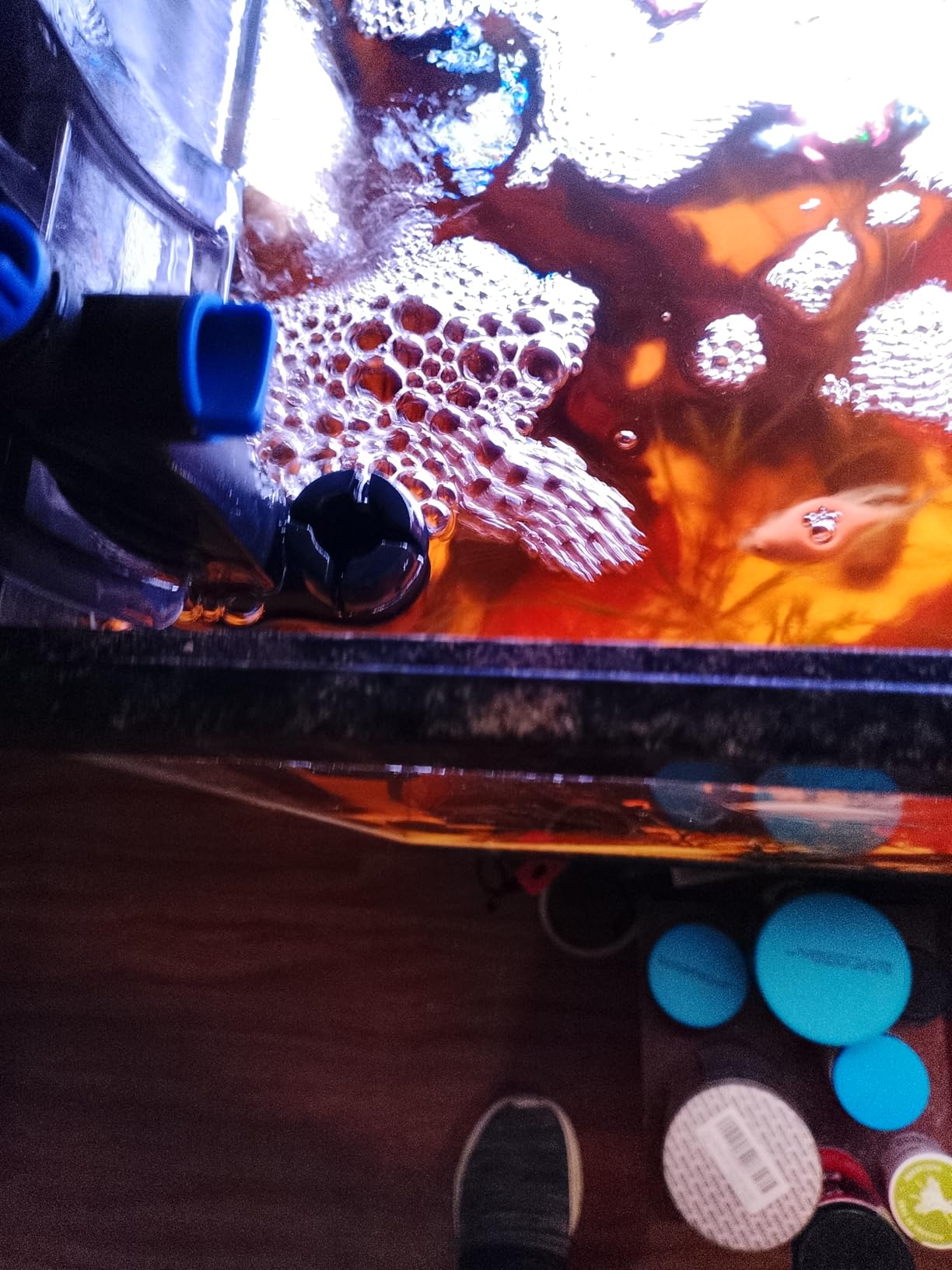 Tetra Whisper IQ Power Filter 45 Gallons, 215 GPH, With Stay Clean Technology customer photo 1