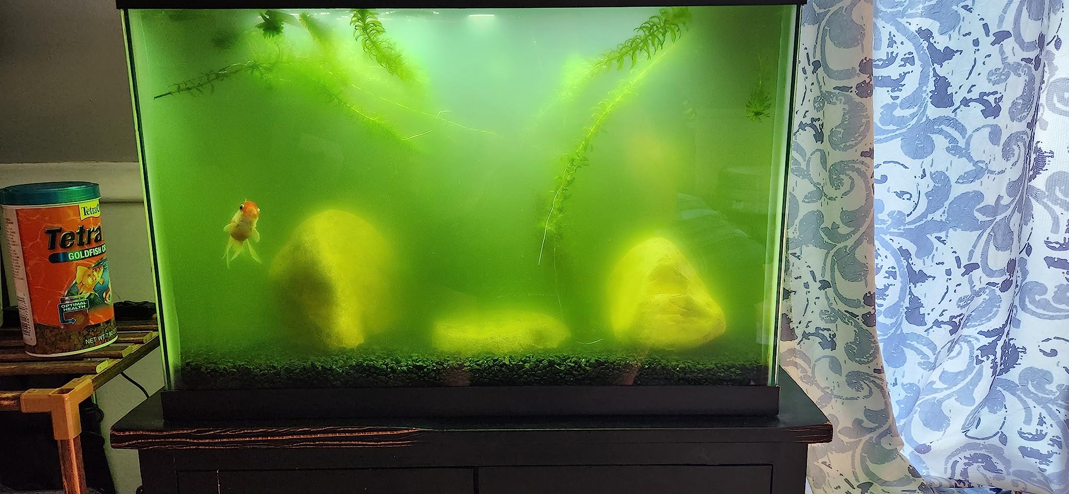Tetra Whisper IQ Power Filter 45 Gallons, 215 GPH, With Stay Clean Technology customer photo 2