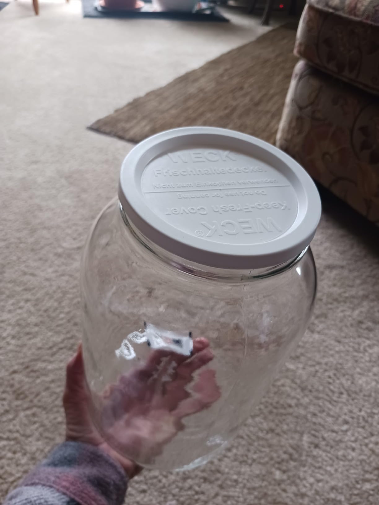 Large JAR 5 Pack Keep Fresh Plastic LIDS, 5 Pack (Large = 4