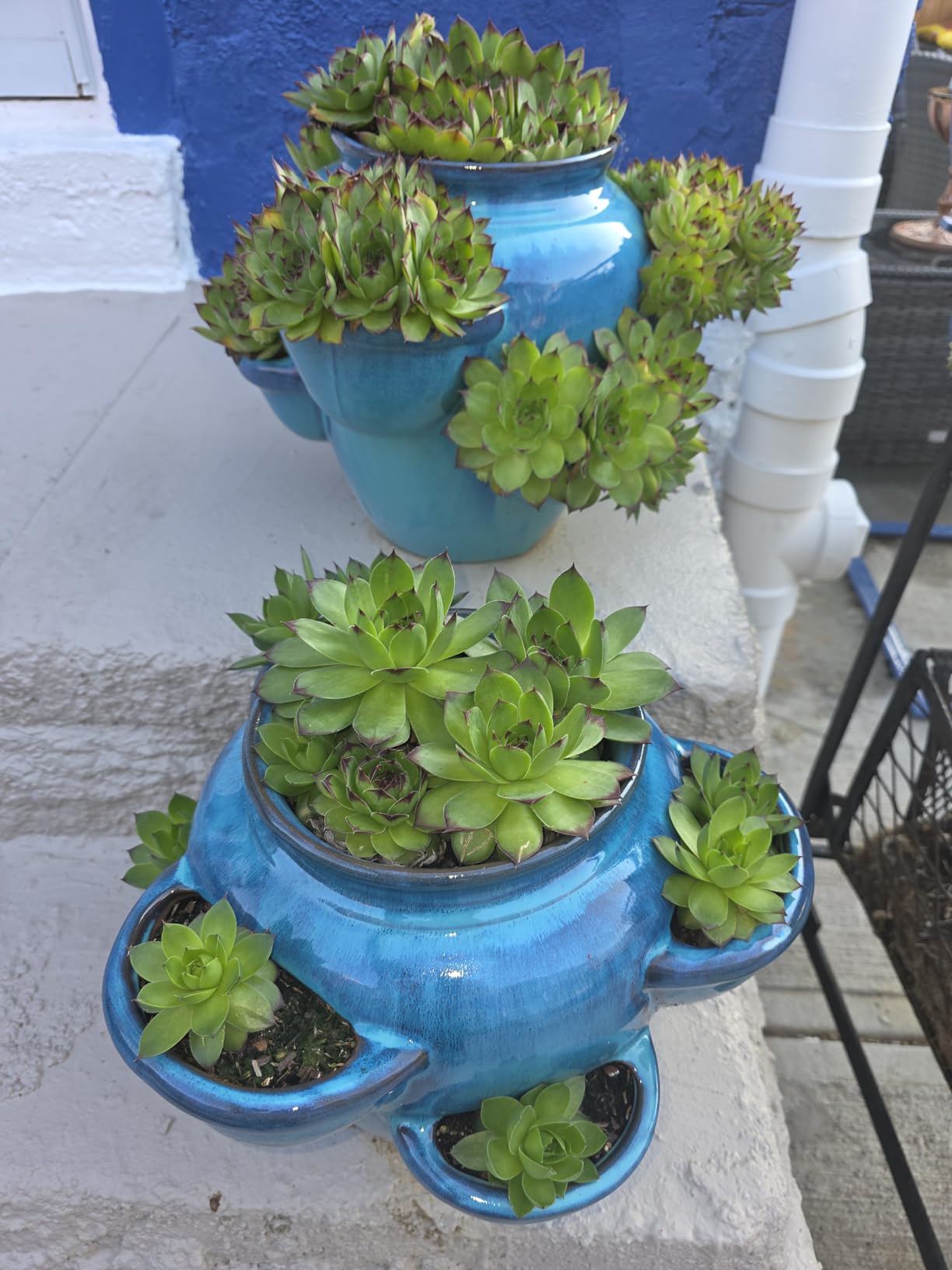 Alfresco Home Six Pocket Ceramic Strawberry Jam Planter customer photo 1
