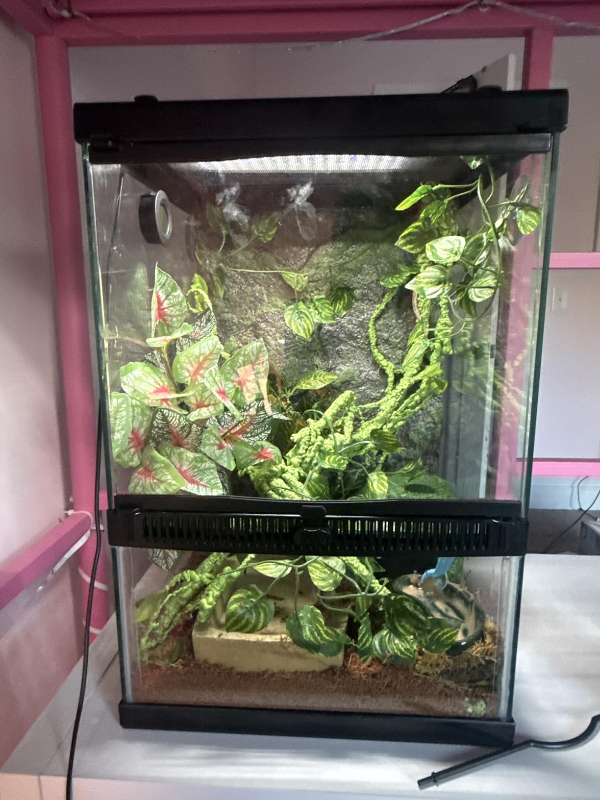 Zilla 11 Gallon Glass Tropical Vertical Habitat Starter Kit for Small Tree Dwelling Reptiles customer photo 2